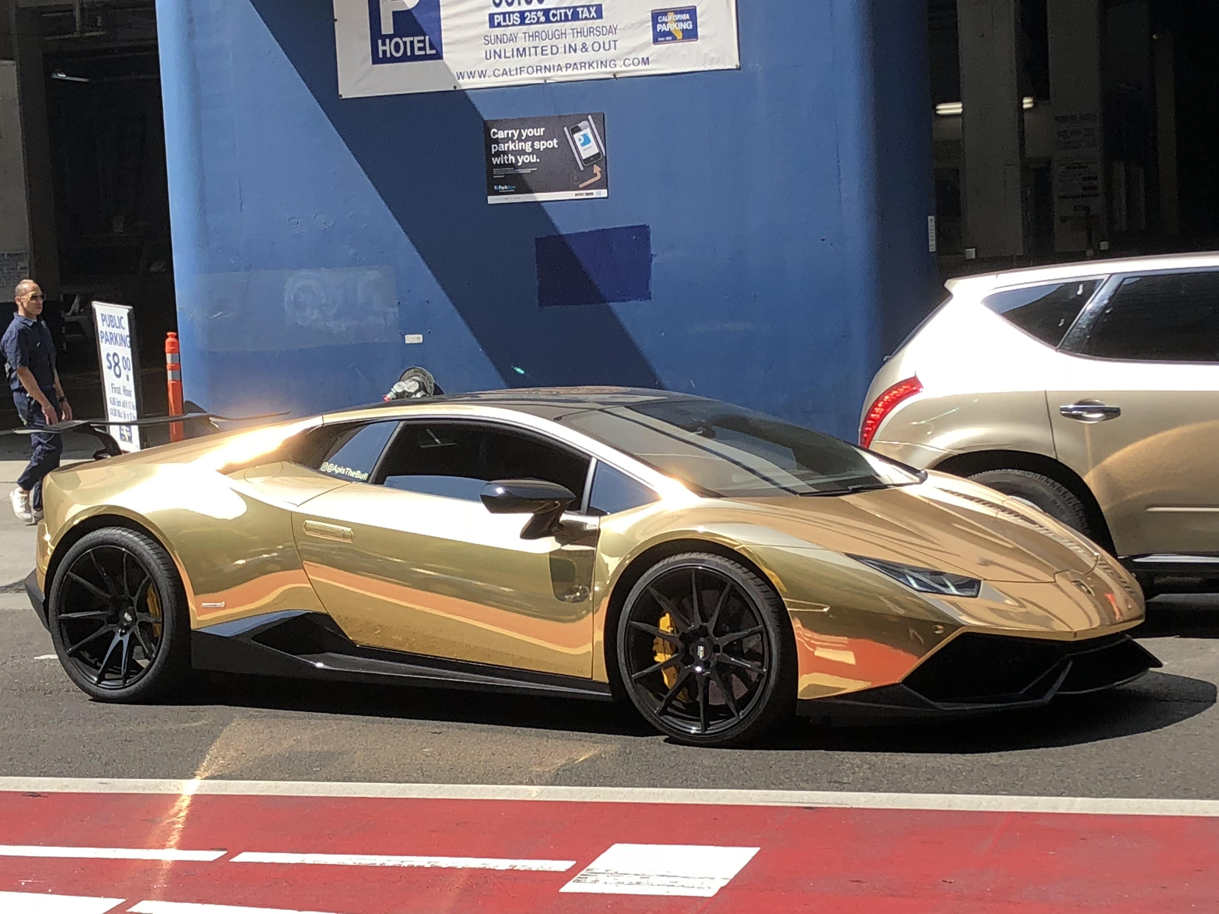 Show Me A Picture Of A Golden