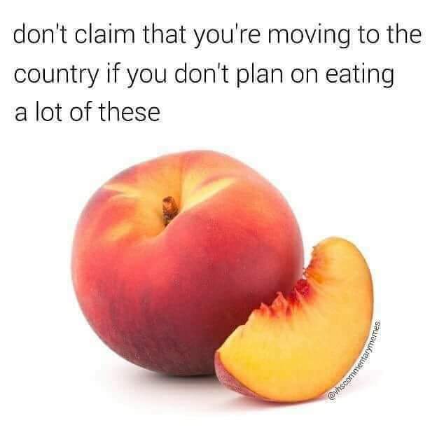 🎵 Goin' to the country, gonna eat a lot of peaches 🎶 KingOfTheHill