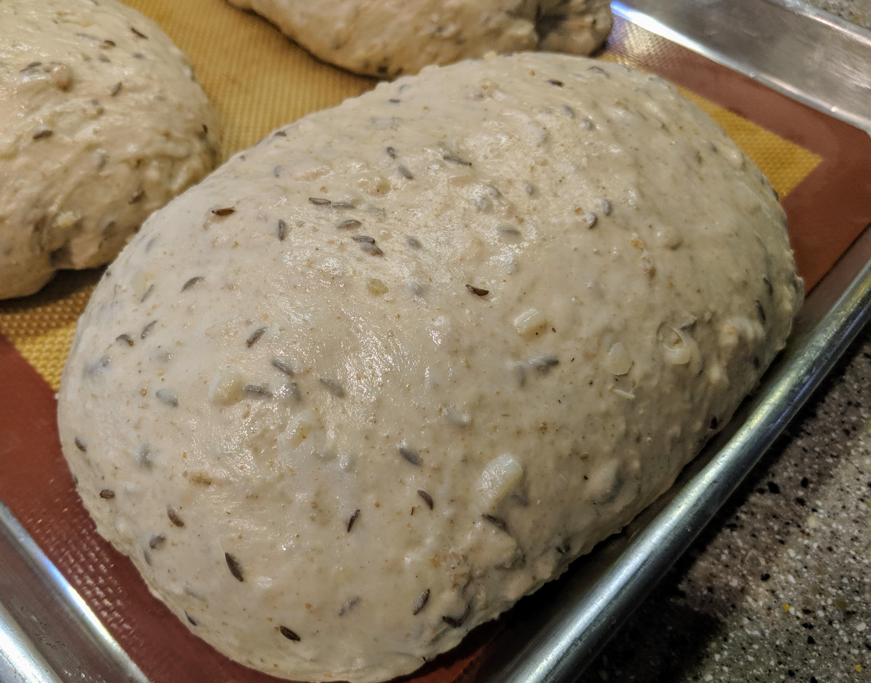 Sourdough Rye bread with Onion and Caraway seeds. Proofing overnight