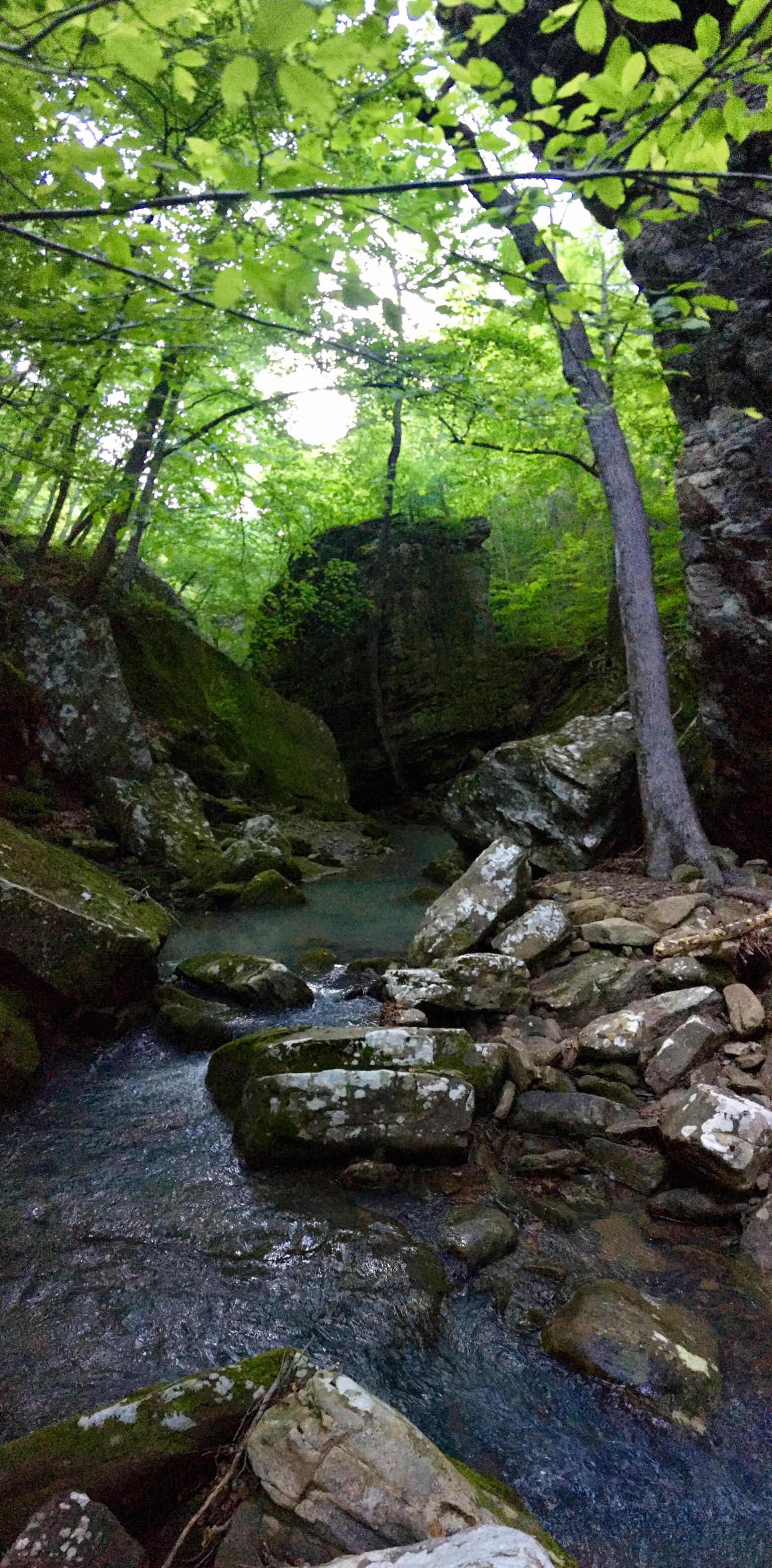 Ozark Highlands trail, Arkansas r/WildernessBackpacking