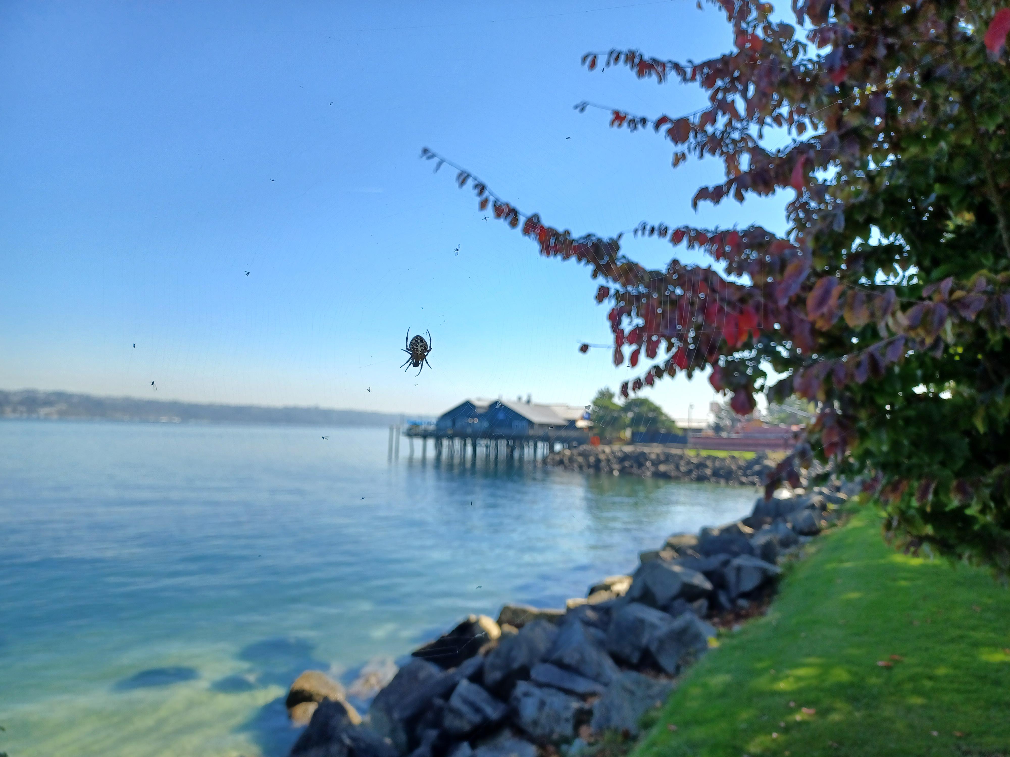 Ruston Way. r/Washington