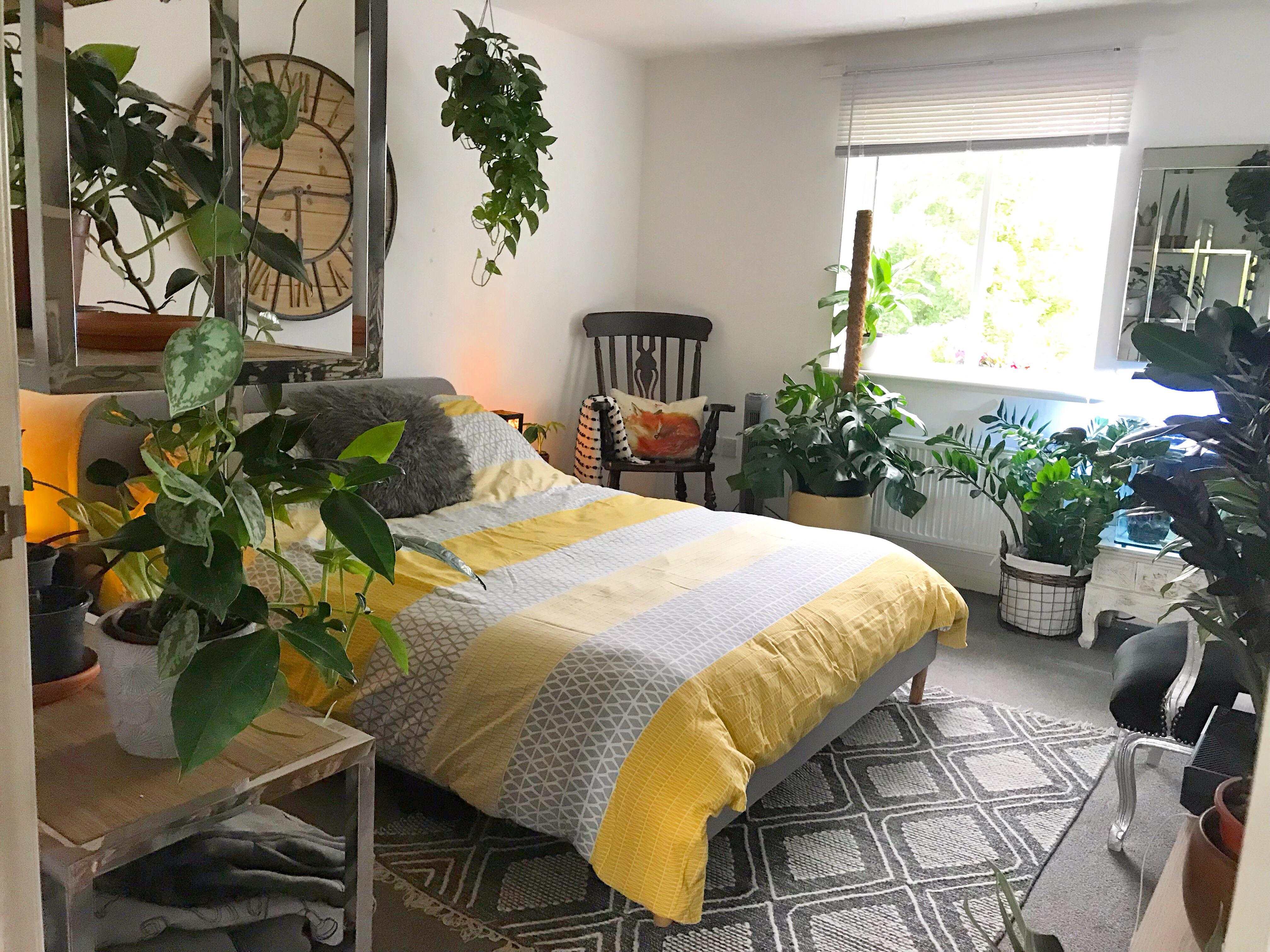 My little indoor jungle bedroom. Suffolk, UK. AmateurRoomPorn