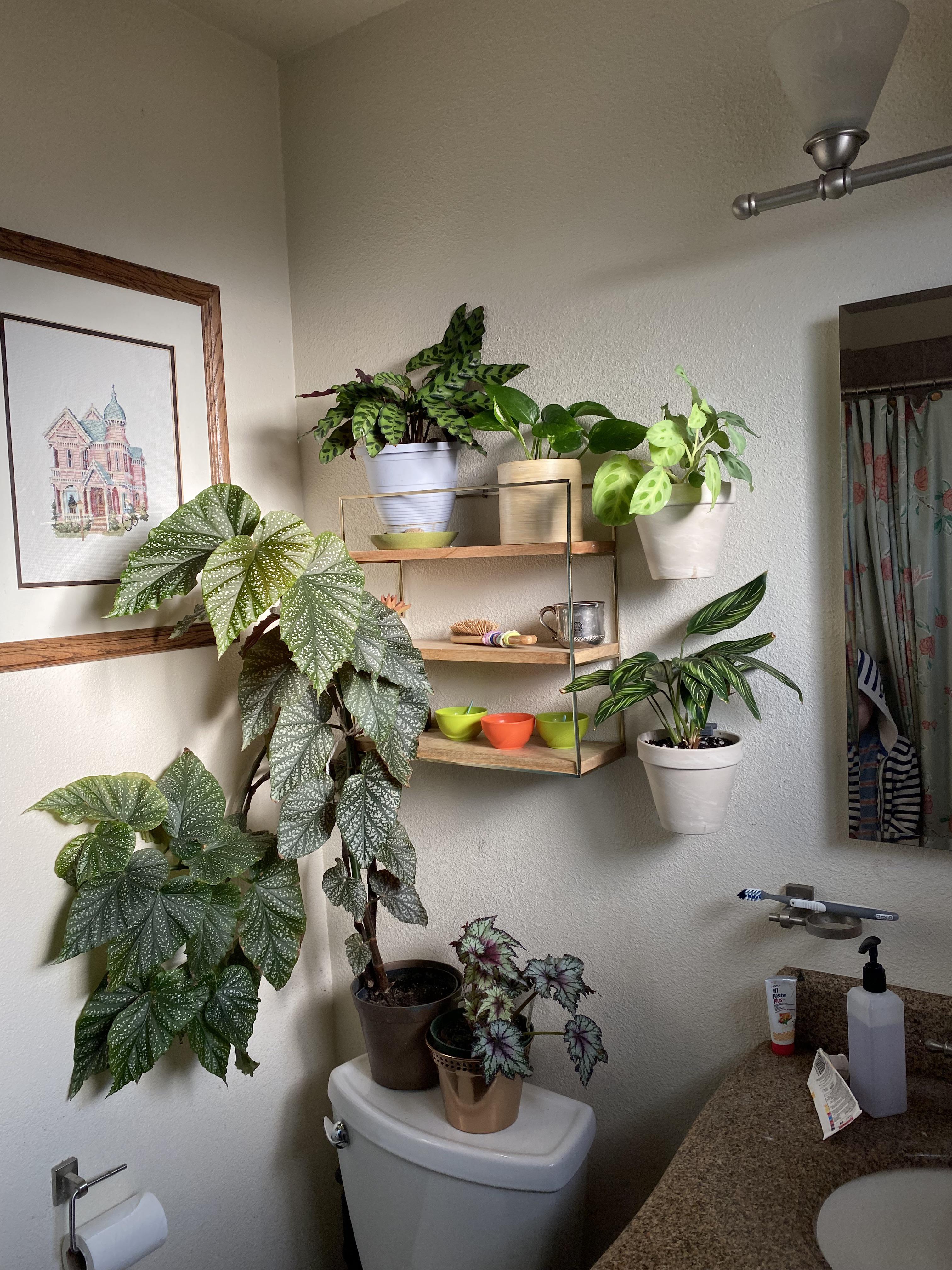 The most humid room in the house