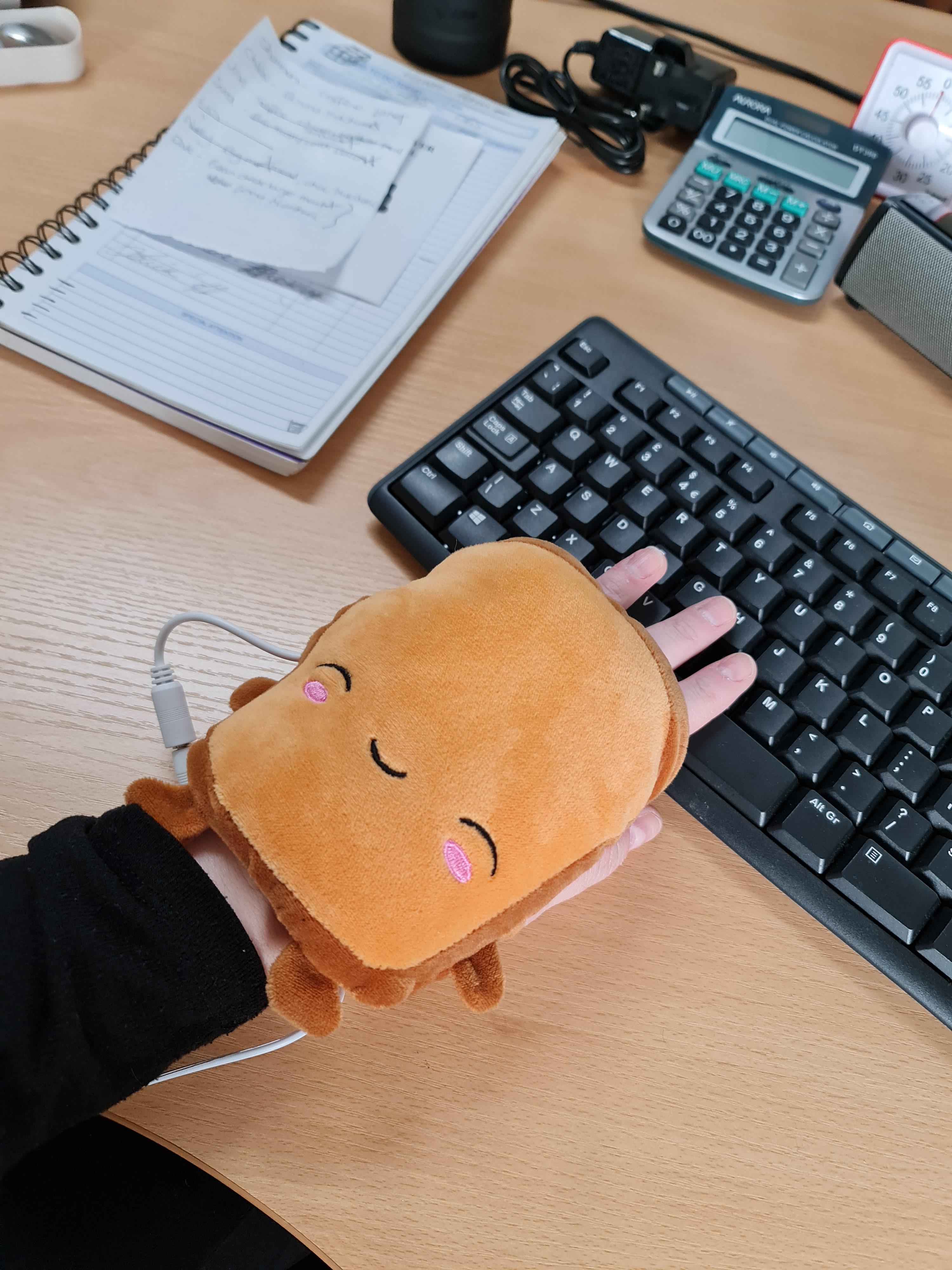 Toasty toast shaped electric hand warmers for typing r