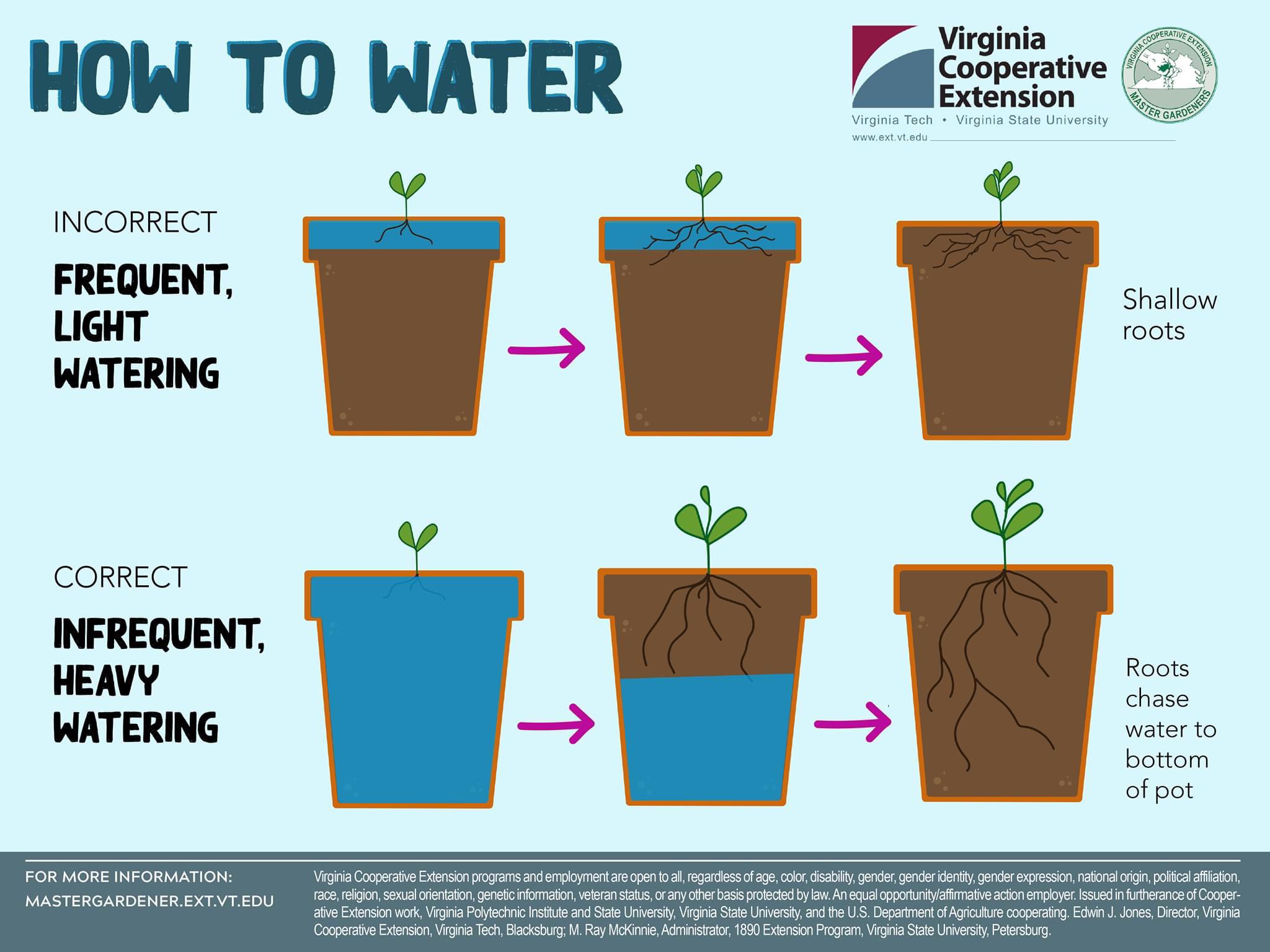 Plant watering guide coolguides