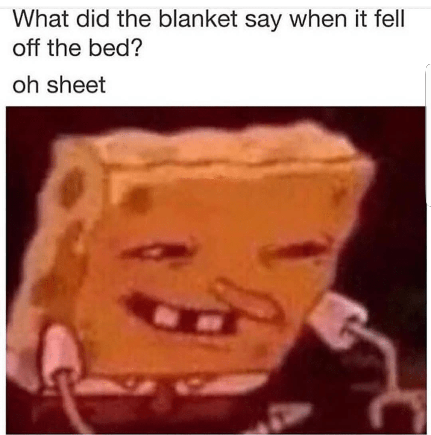 Oh sheet r/BikiniBottomTwitter