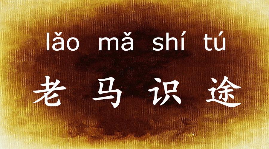 The Chinese Idiom "老马识途 an Old Horse Knows the Way" And the Story