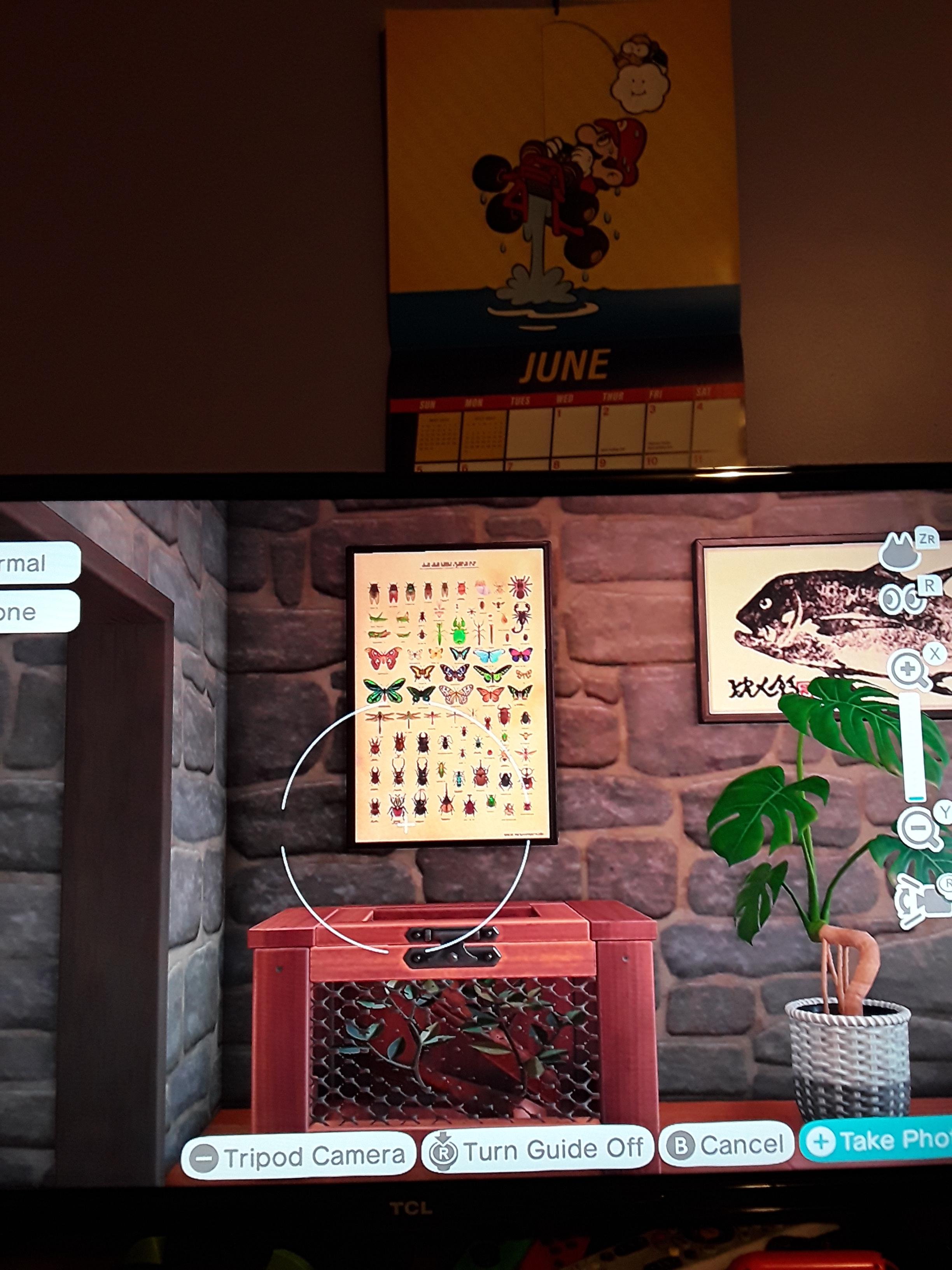 What is the name of this cage? How do I get one? How do I get the bug