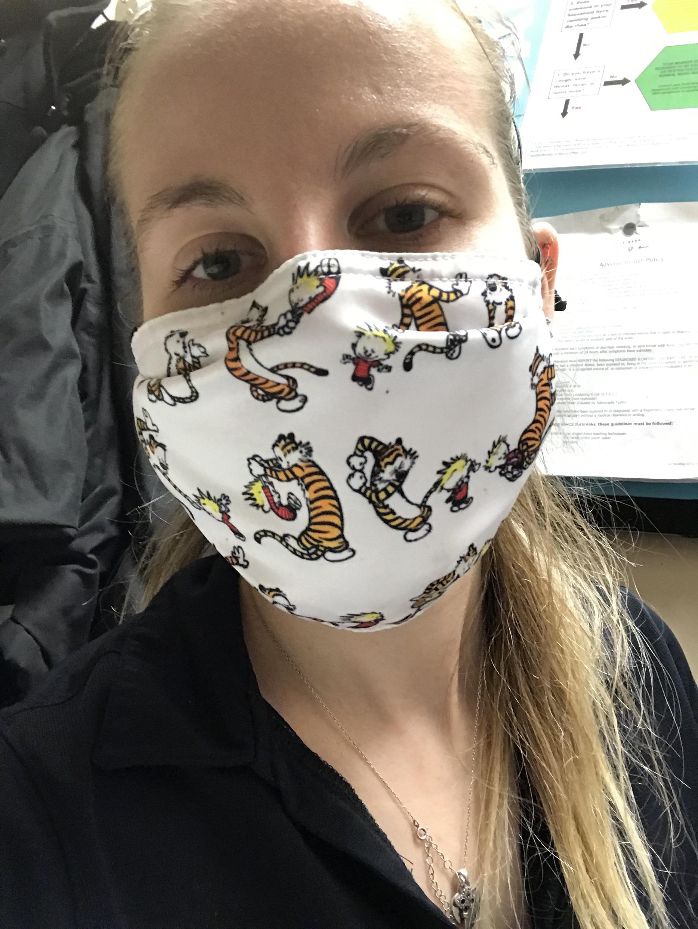 The best mask I have ever bought. r/calvinandhobbes