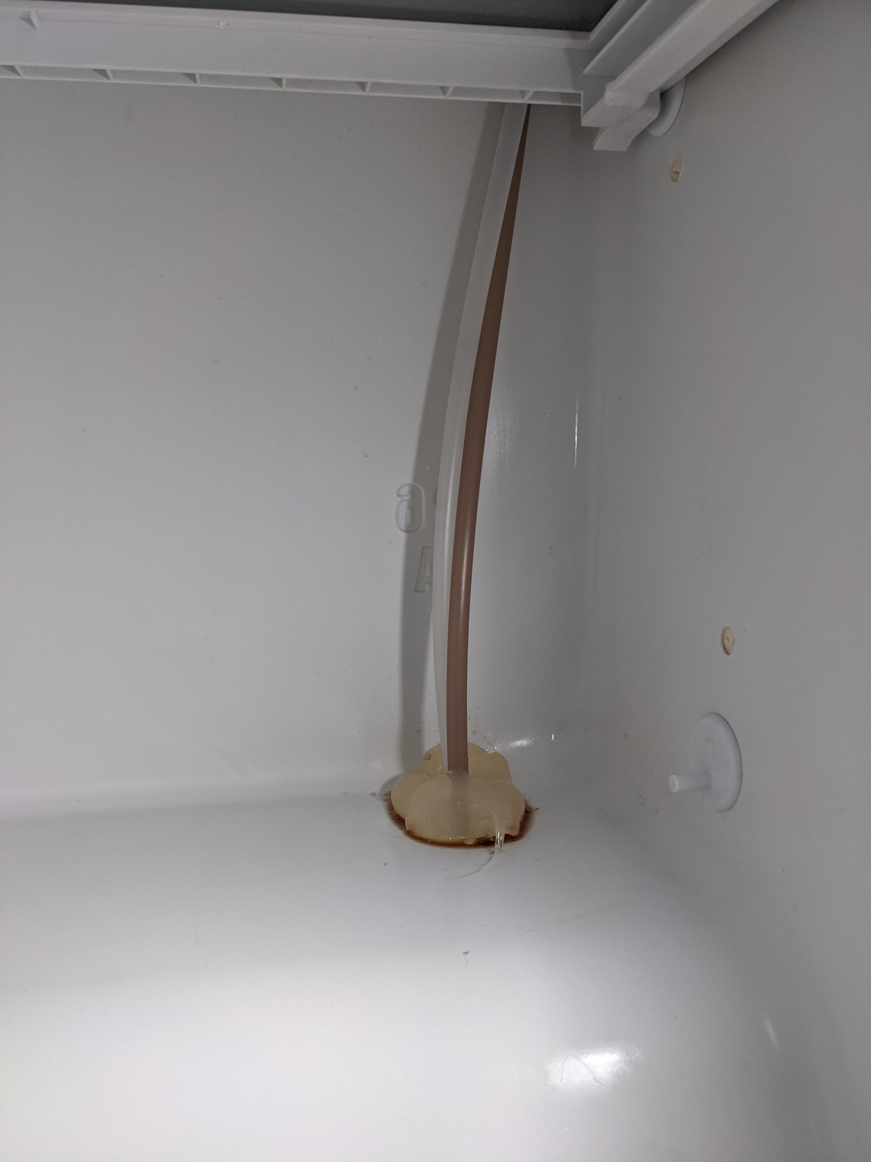 Was cleaning my Kenmore Gallery fridge and saw this big pile of goo