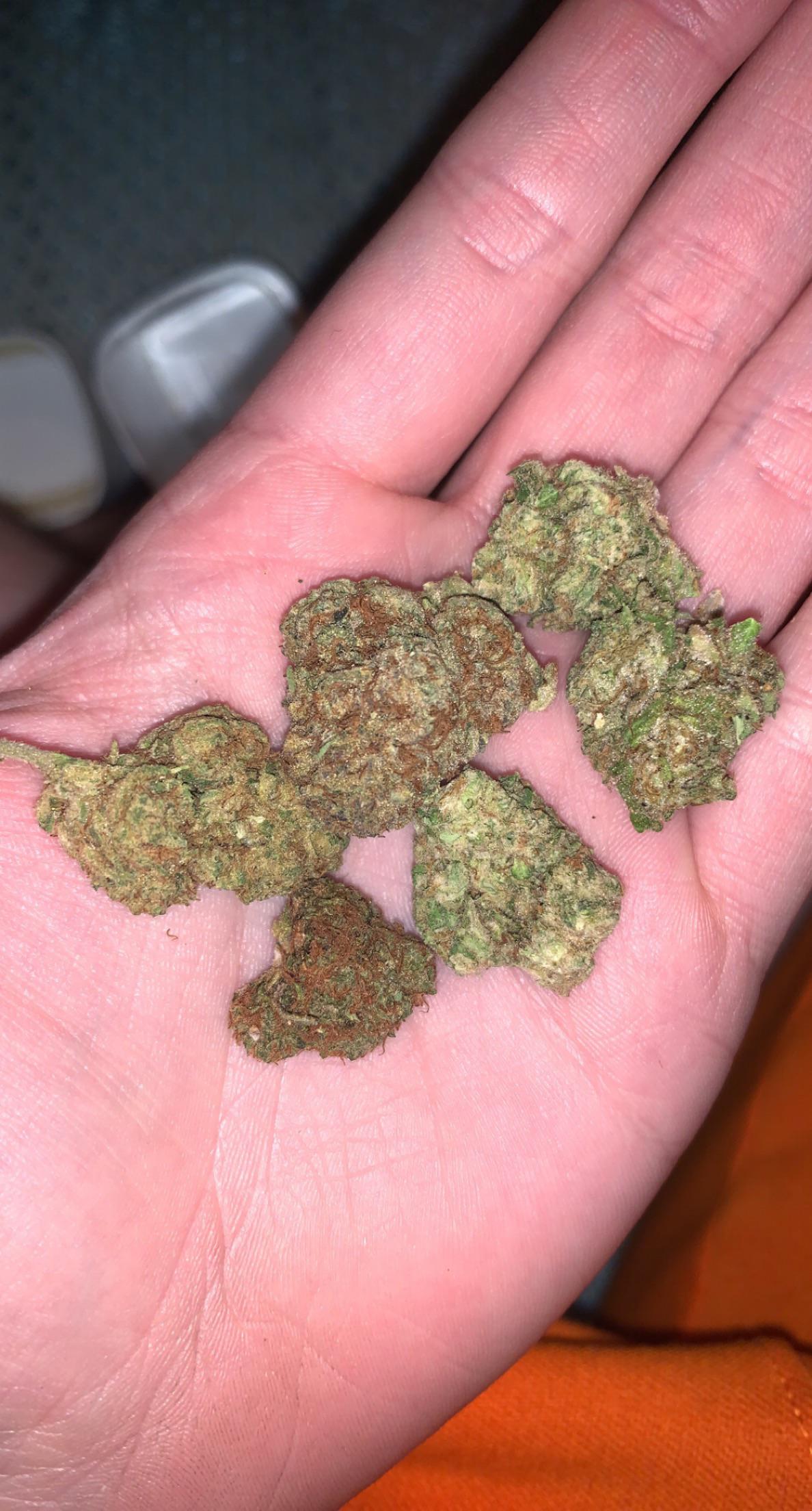 Plug gave me mix match weed 🤔 don’t know if I should be happy or