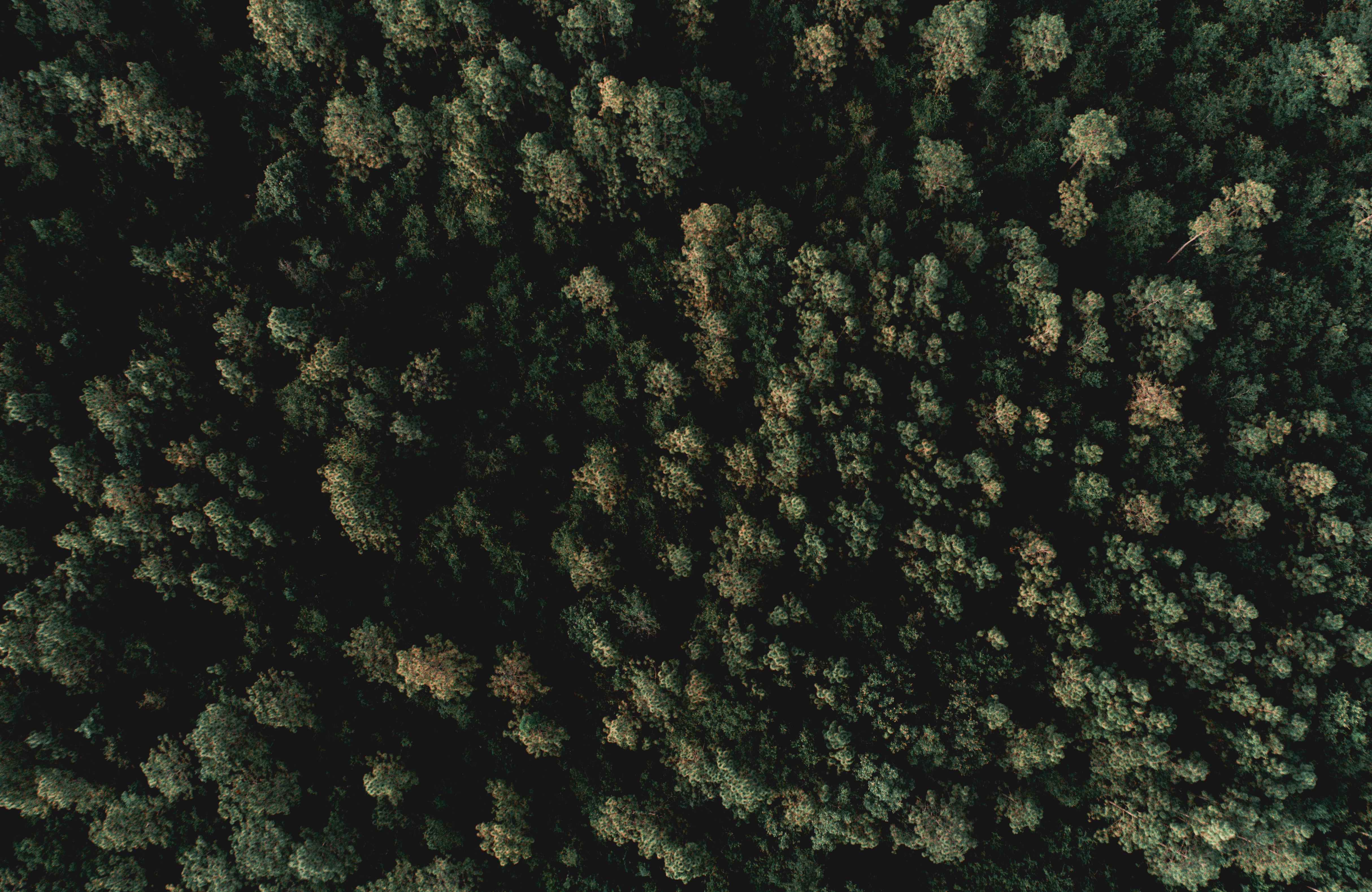 One of my favorite pasttimes is drone photography, helps a bit with