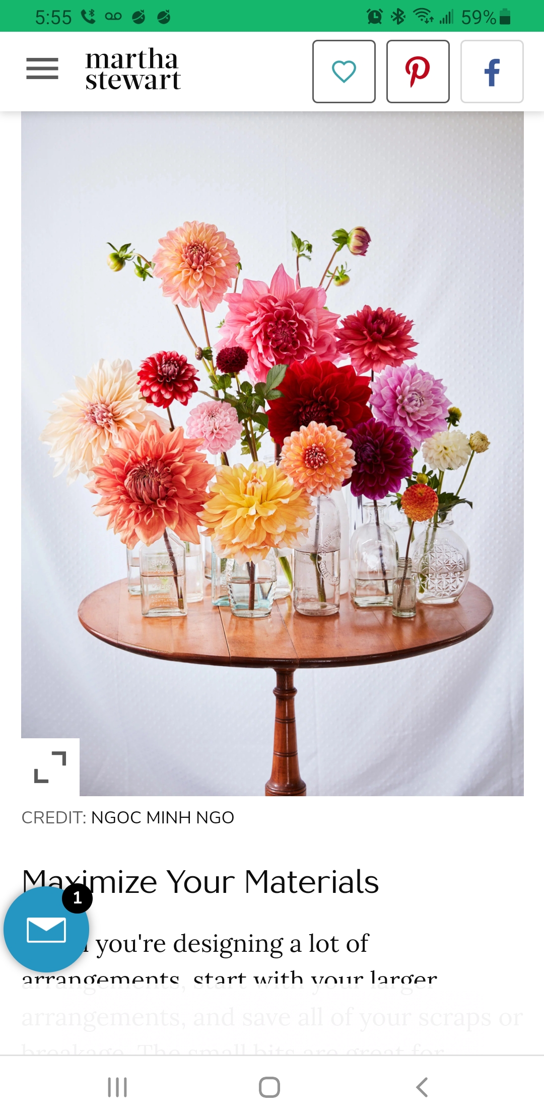 What is the name of these flowers? Trying to gather ideas for my sister