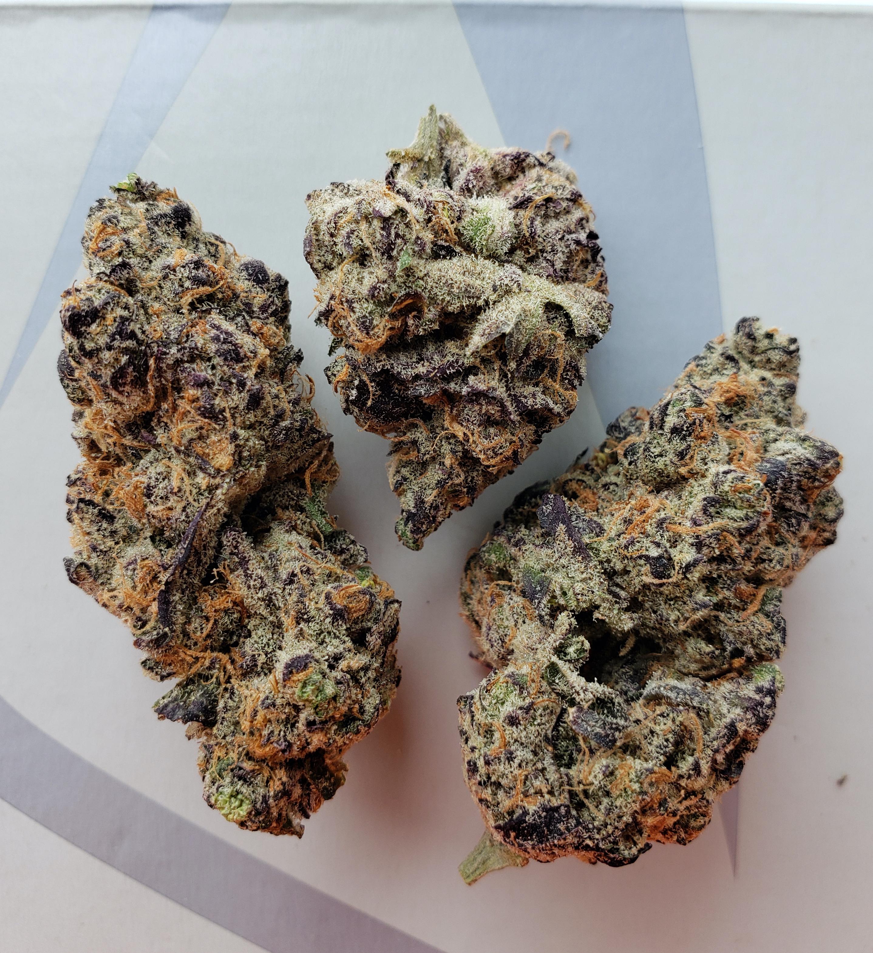 Tang Breath True Craft Cannabis Late January 2020 MOMpics