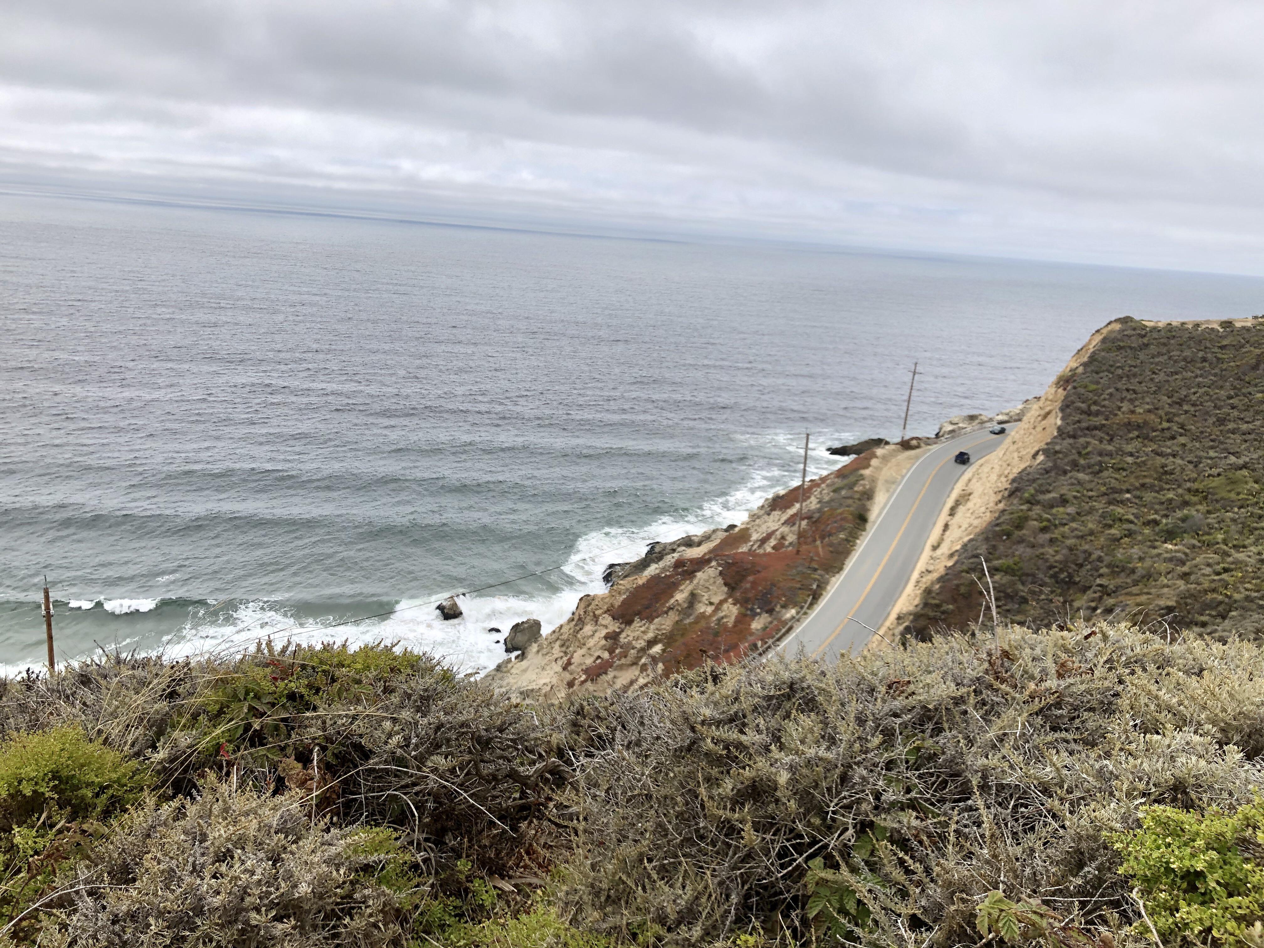 grey pacifica Reddit post and comment search SocialGrep