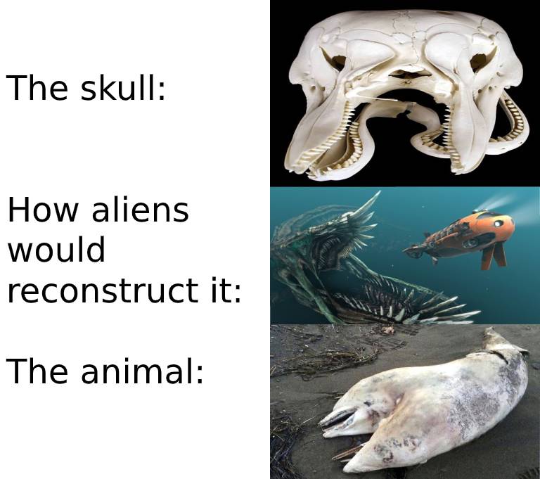 964 best r/Paleontology images on Pholder It is sad though