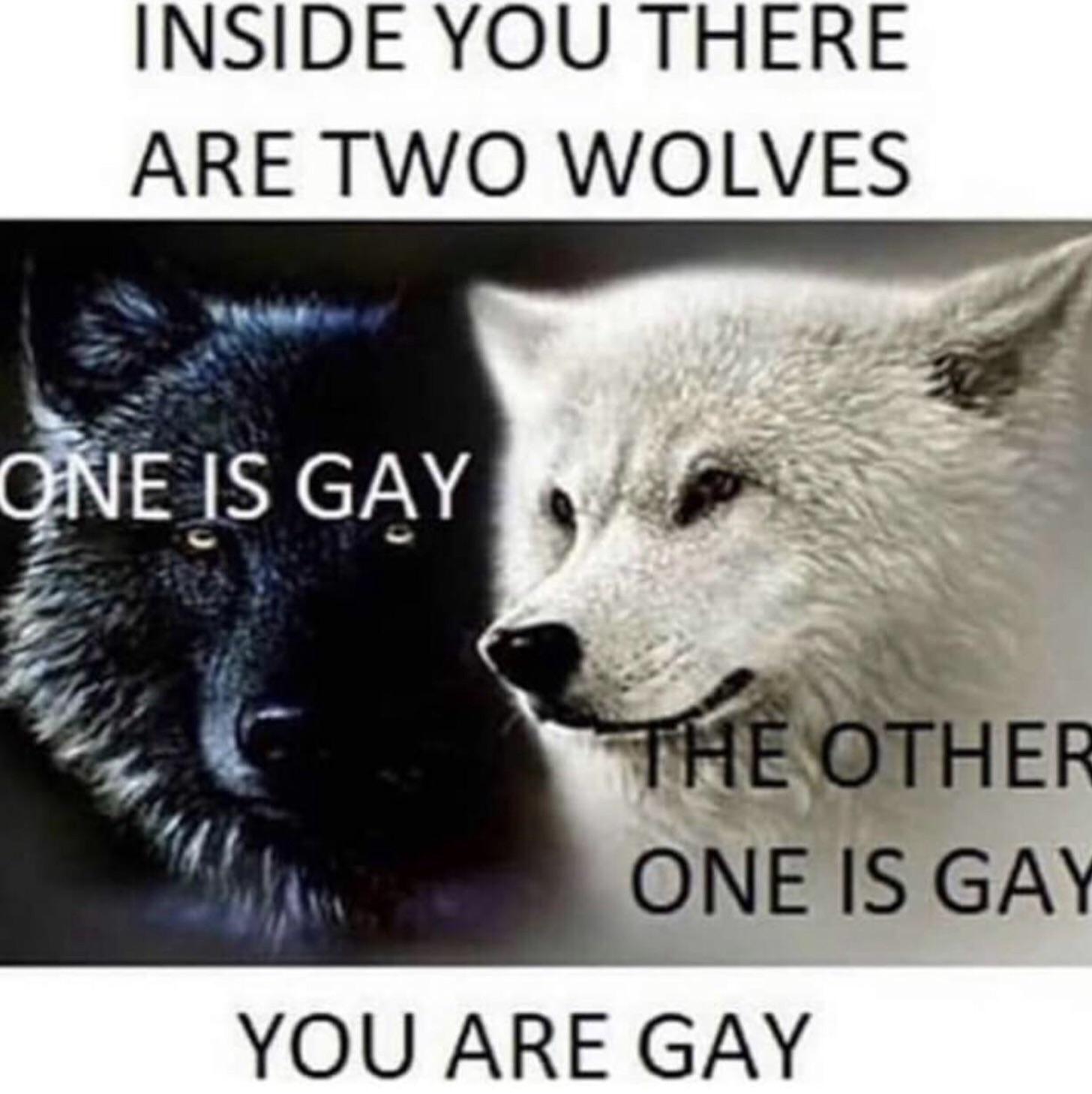 Inside you there are 2 wolves actuallesbians