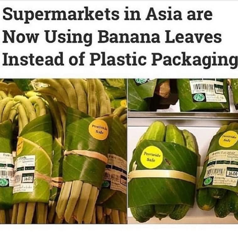 Reddit Dive into anything