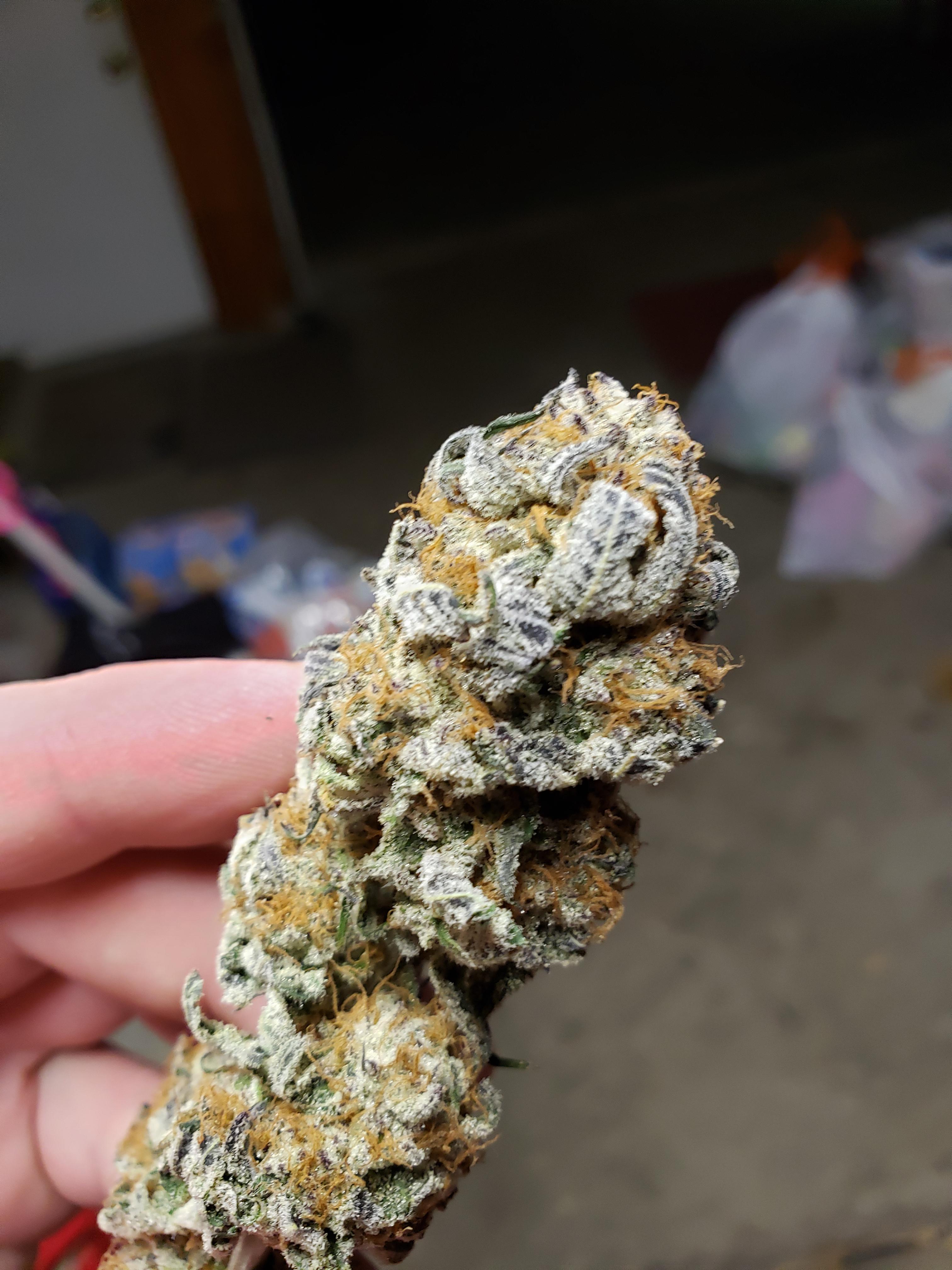 Barneys Farms Dosi Do 33 r/microgrowery