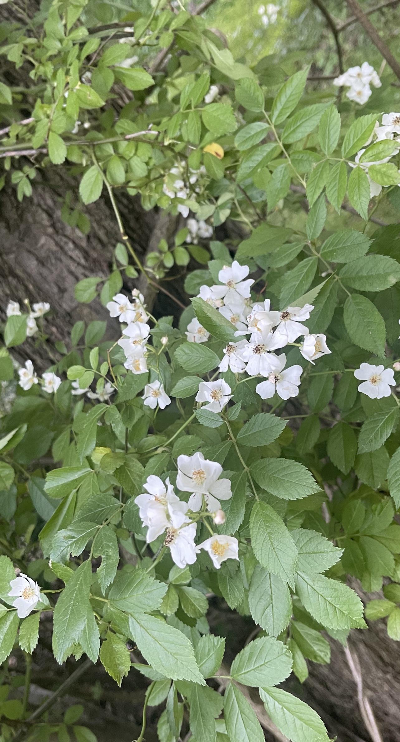 Posts by u/PhilODendron ・ popular.pics ・ Viewer for Reddit