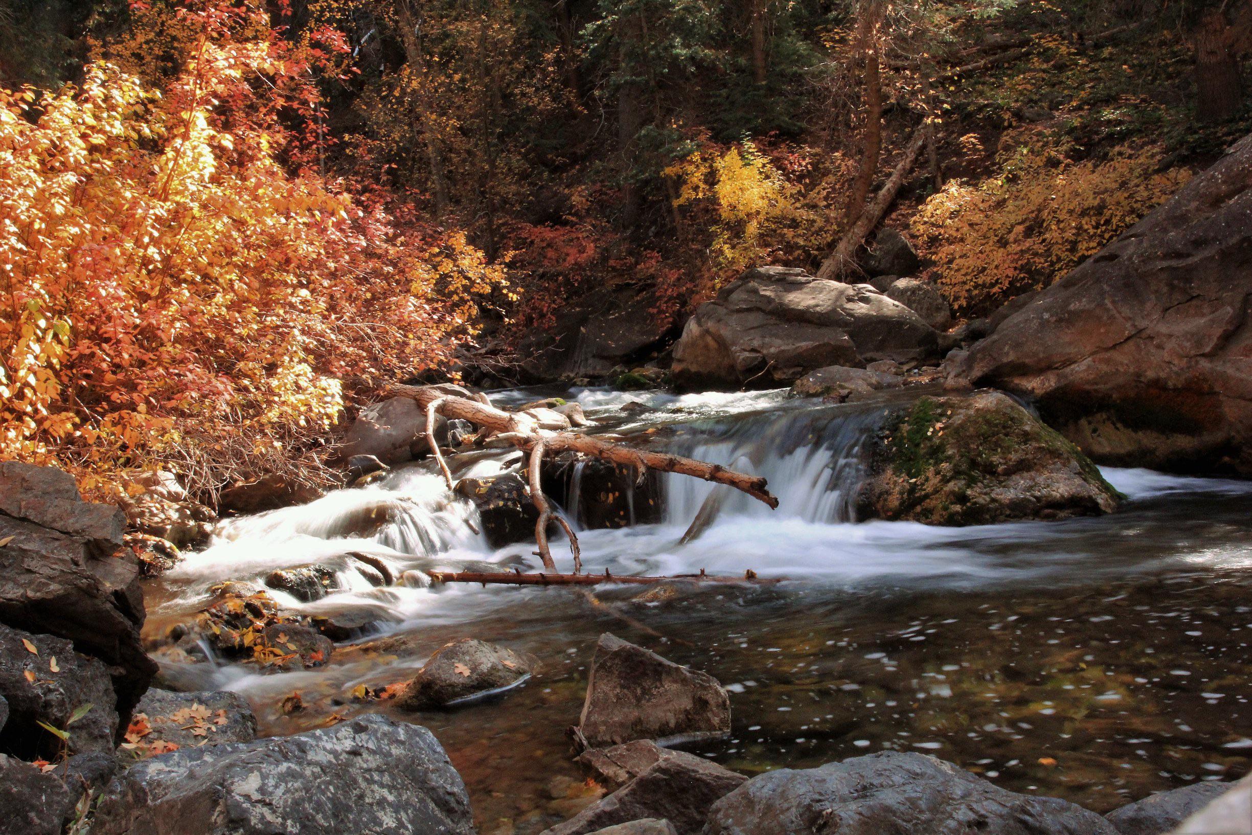 This is in American Fork Canyon taken by my dad who’s doing his best to a professional