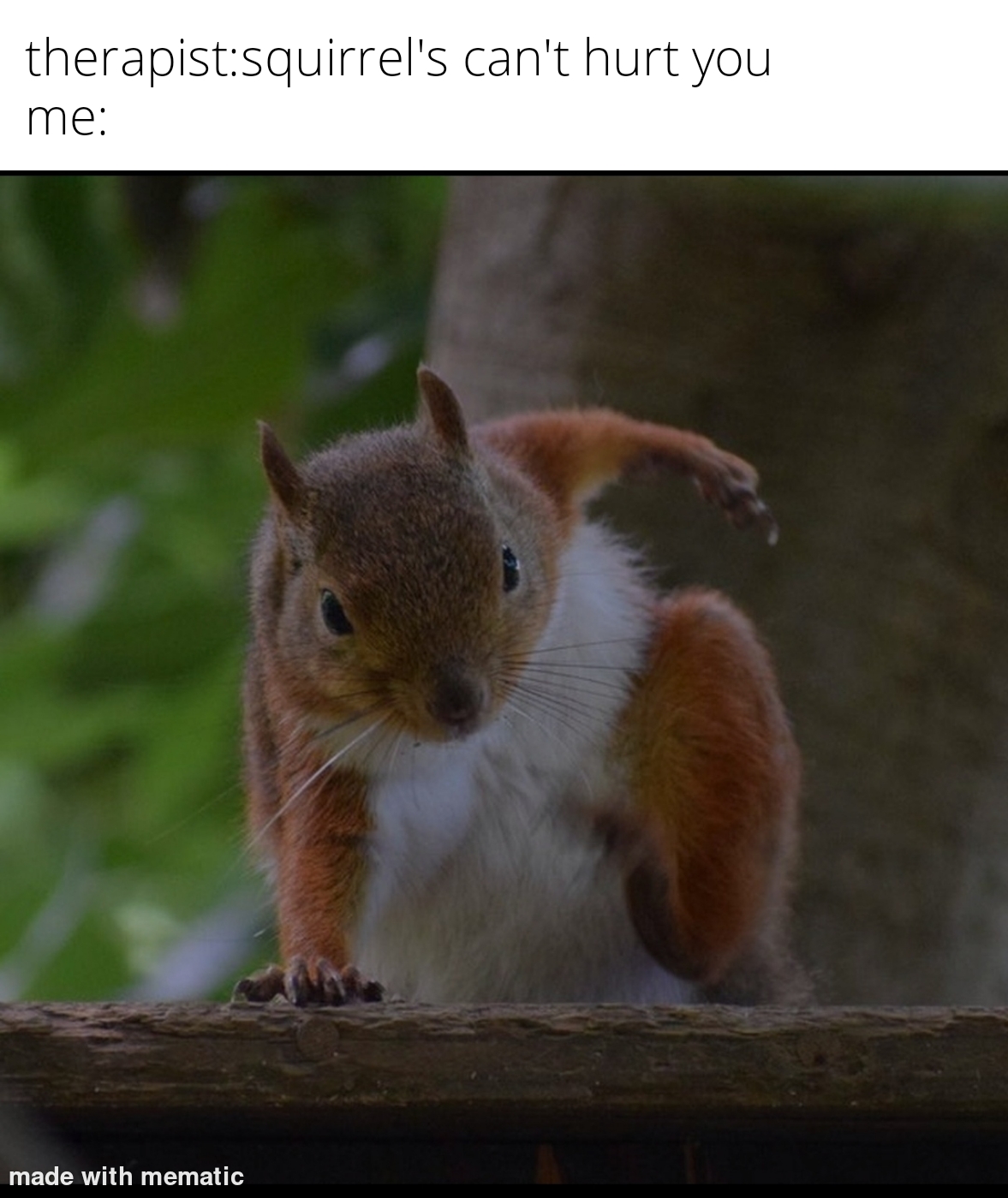 Scary squirrel will kill you hehe r/memes