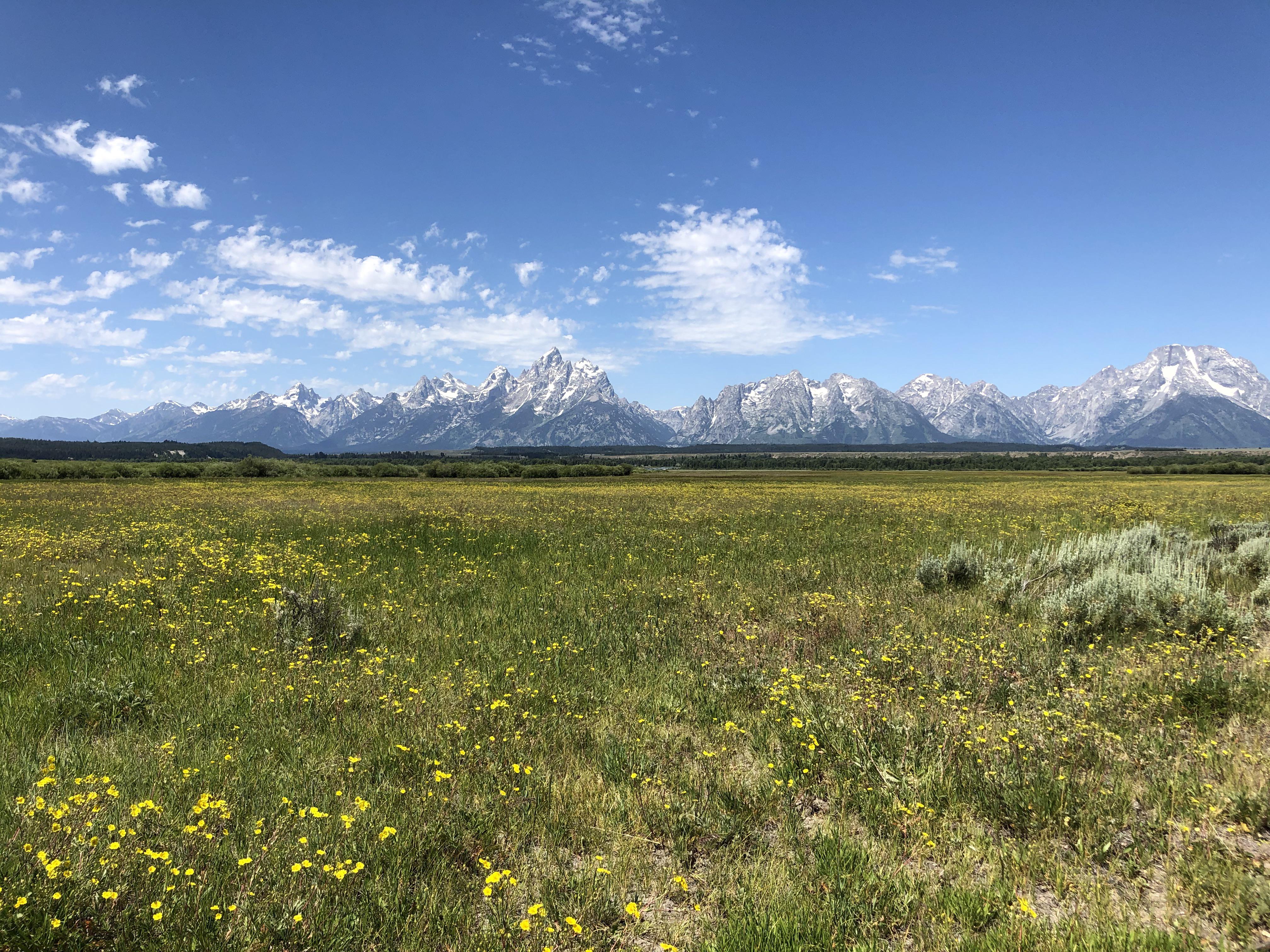 Grand Tetons, WY [OC] 2020 unitedstatesofamerica