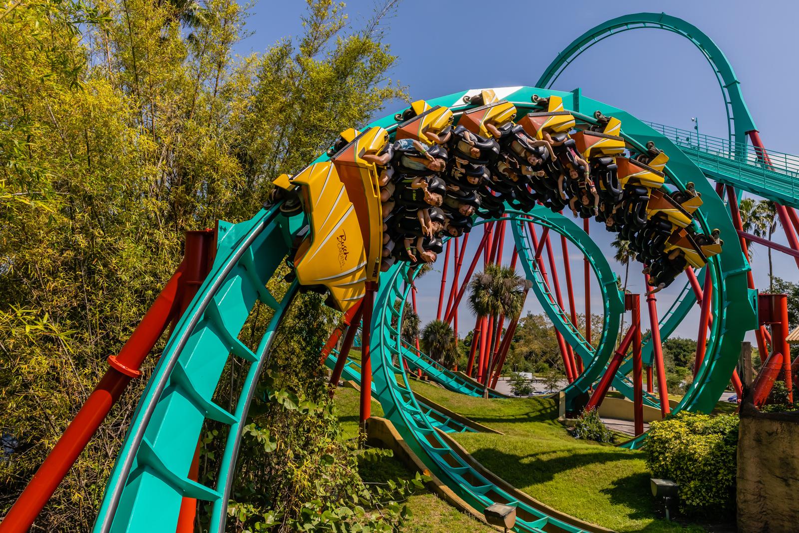 Kumba Roller Coaster Busch Gardens Tampa Bay r/tampa