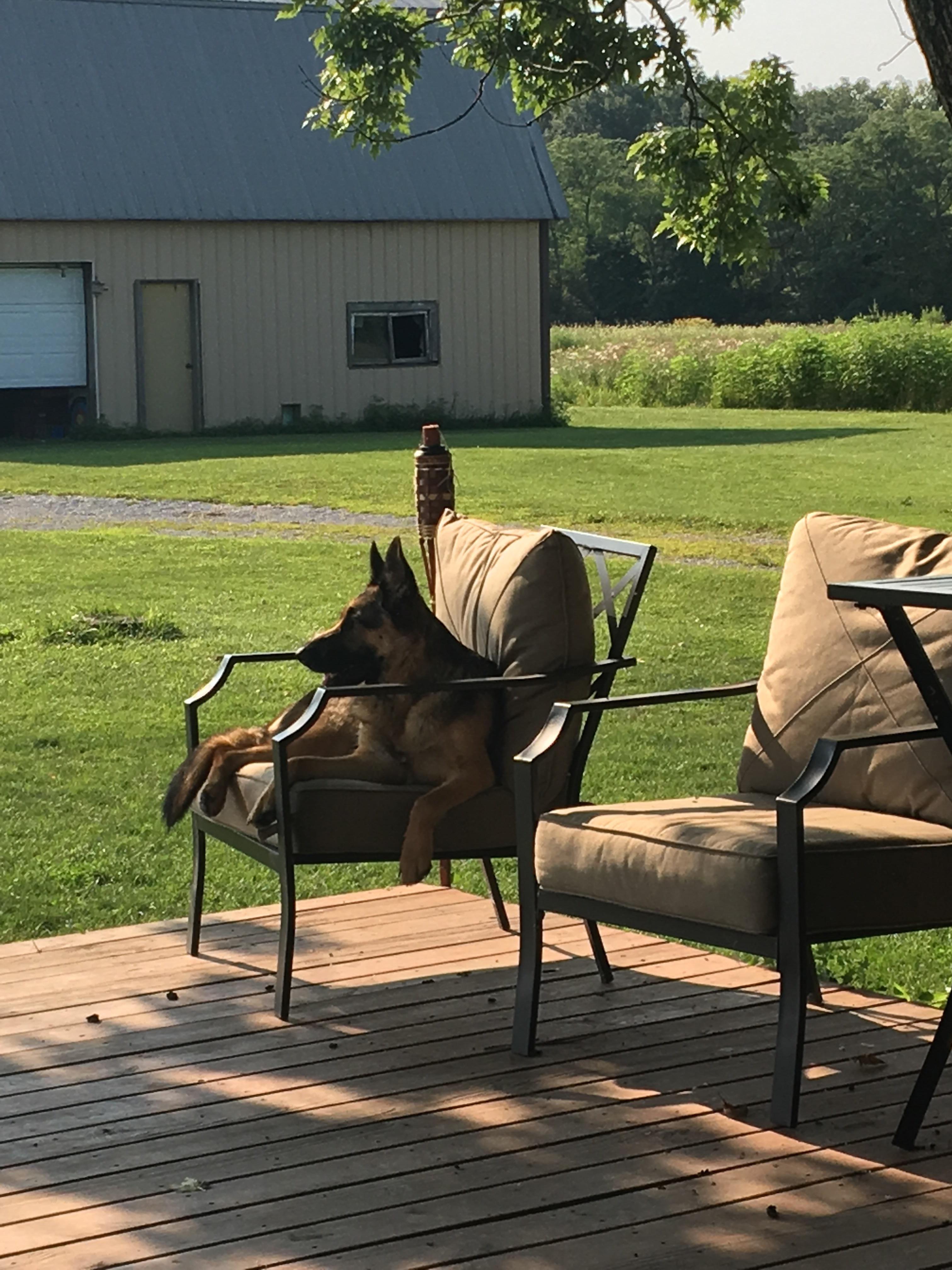Just chillin on my favorite patio chair, watching the sunrise... r