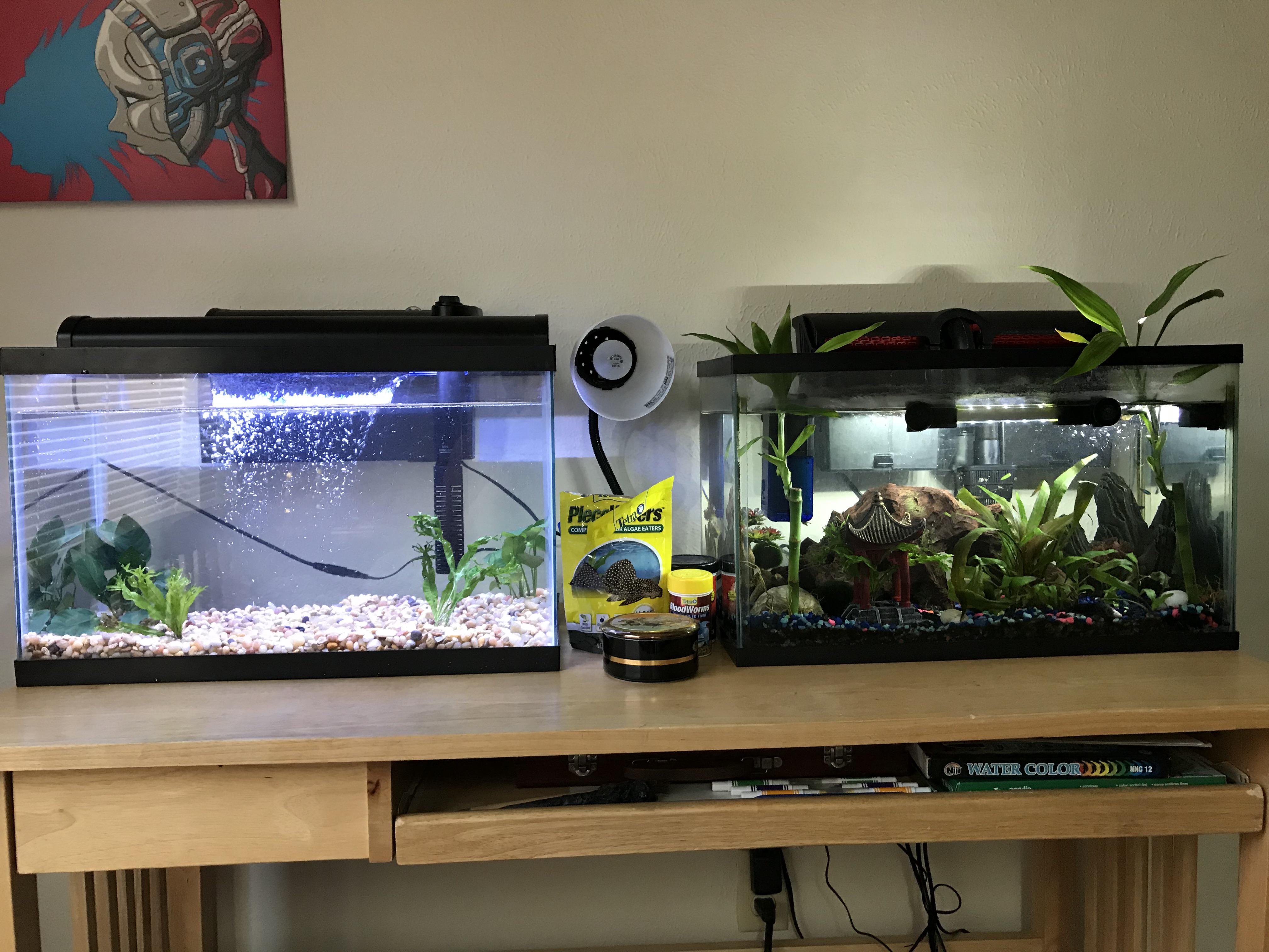 New tank going through cycle before adding fish, still more to to, but