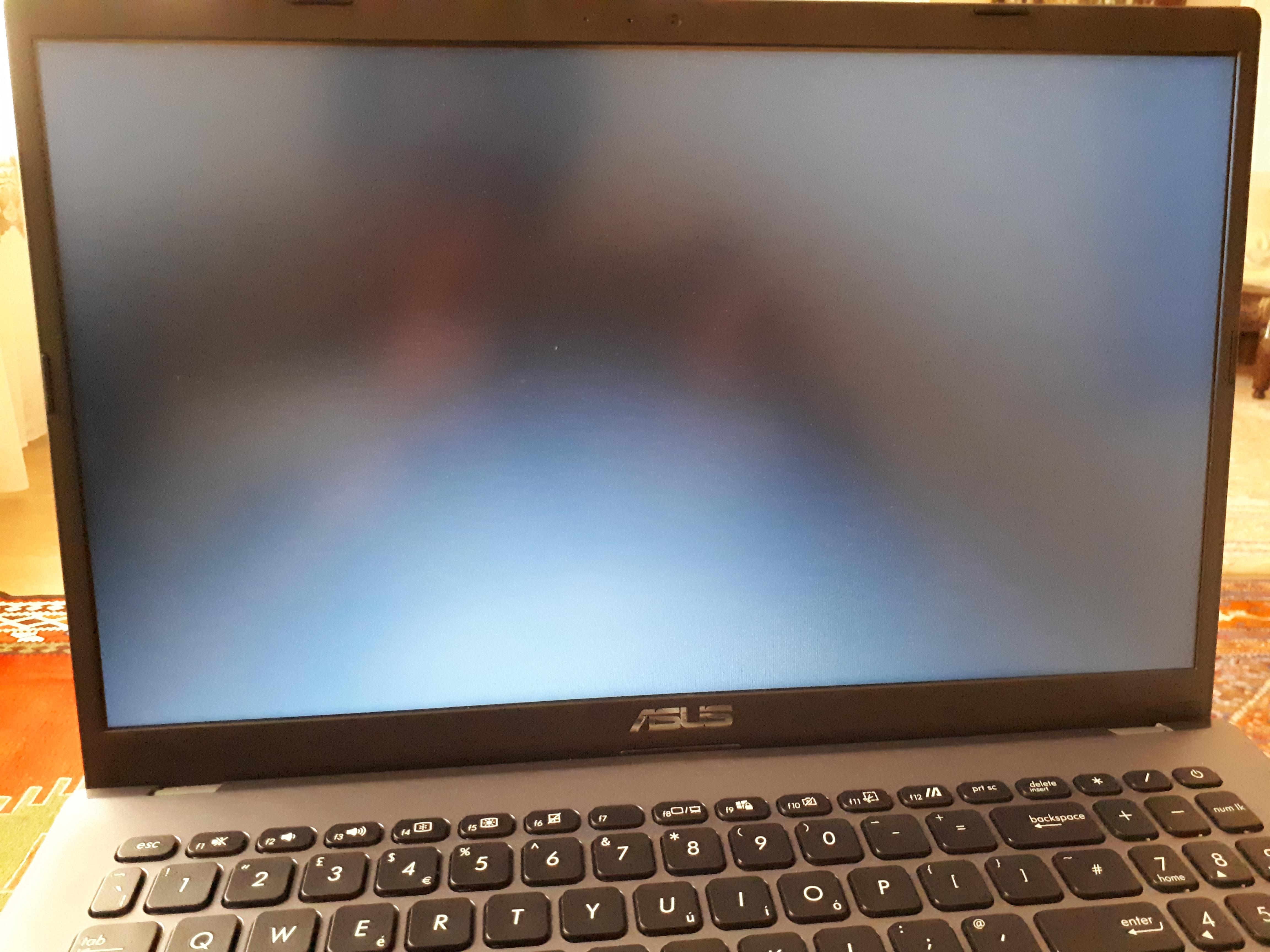 Why ASUS x509 laptop screen turns grey (backlight is on) and freezes