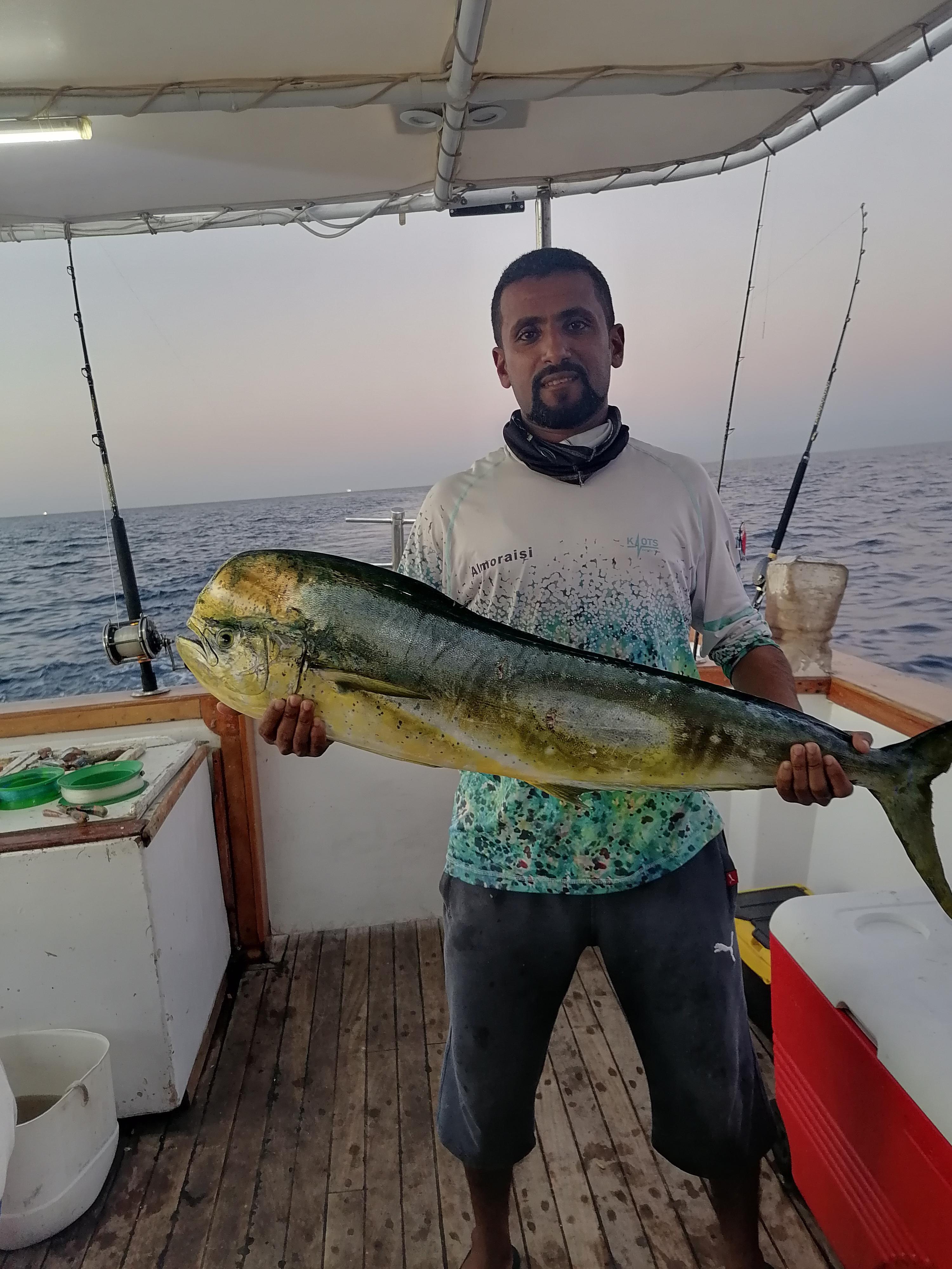 Mahi Mahi fish in Hurghada (Red Sea) Egypt r/Fishing