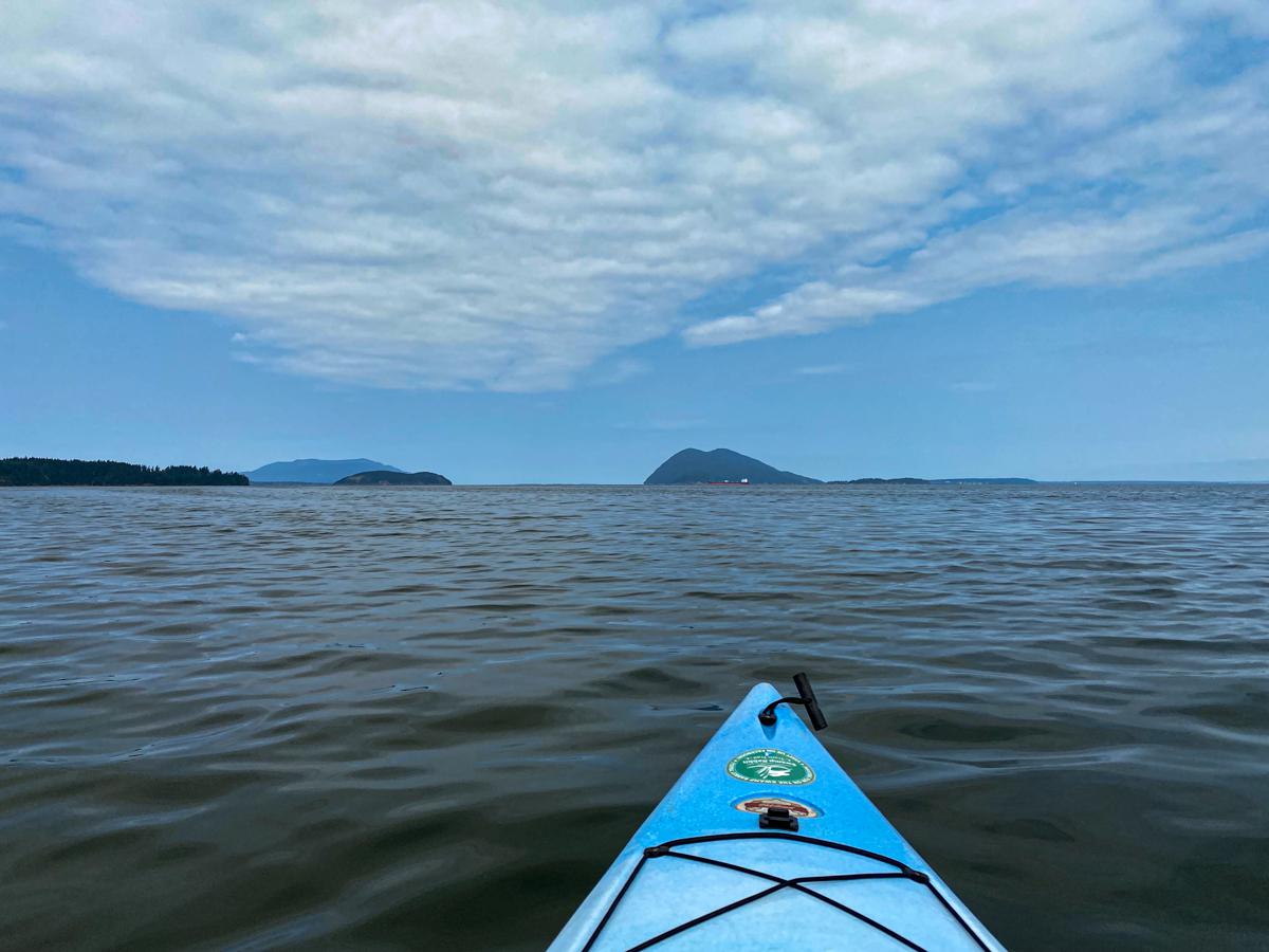 Beautiful day out on Samish Bay in the North Puget Sound r/Kayaking
