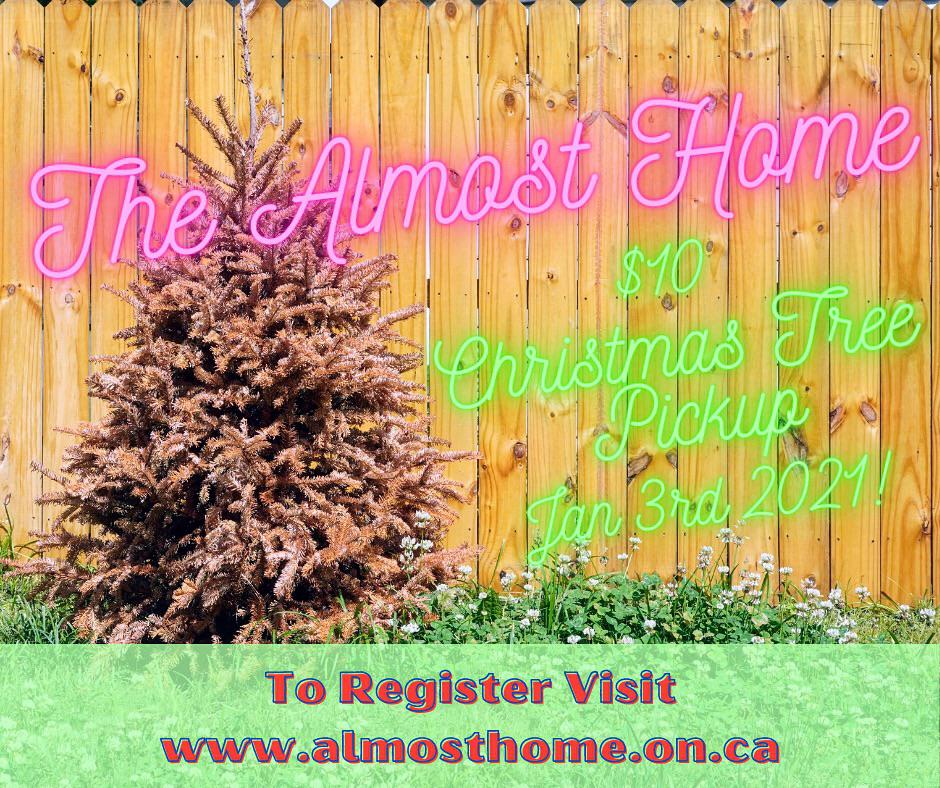 Almost Home Christmas Tree Pick Up This Sunday. r/KingstonOntario