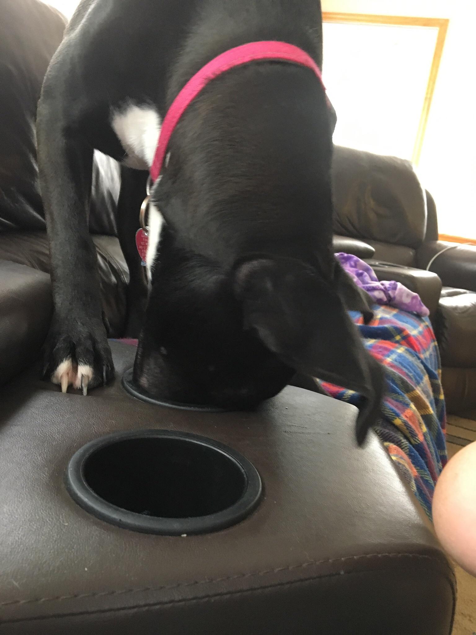 Eye bleach to the max r/Eyebleach