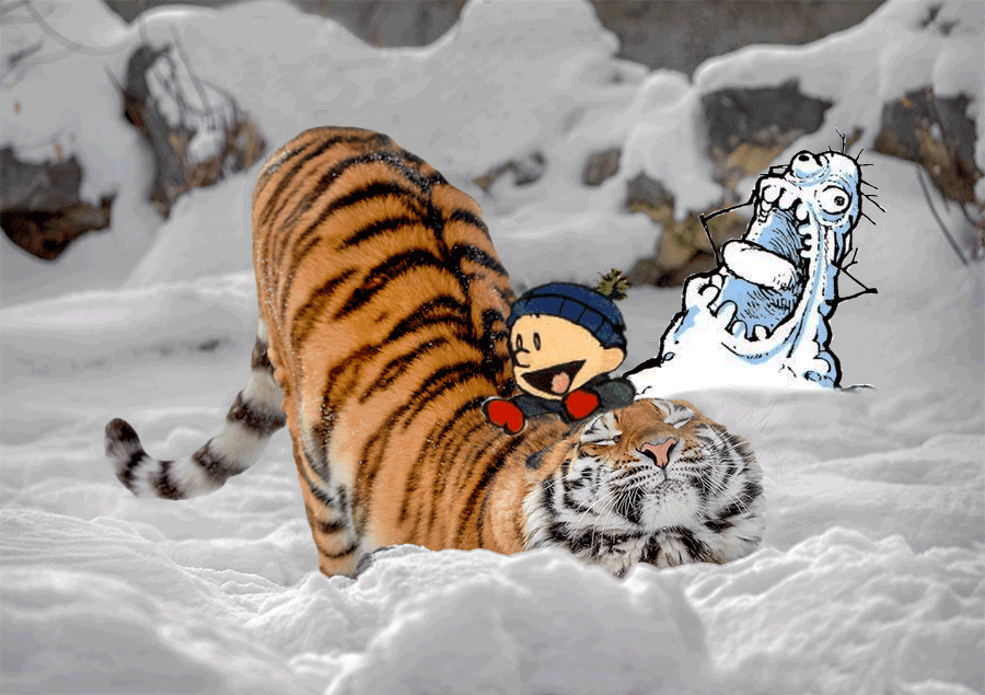 This tiger looks like he came off of an especially detailed sunday