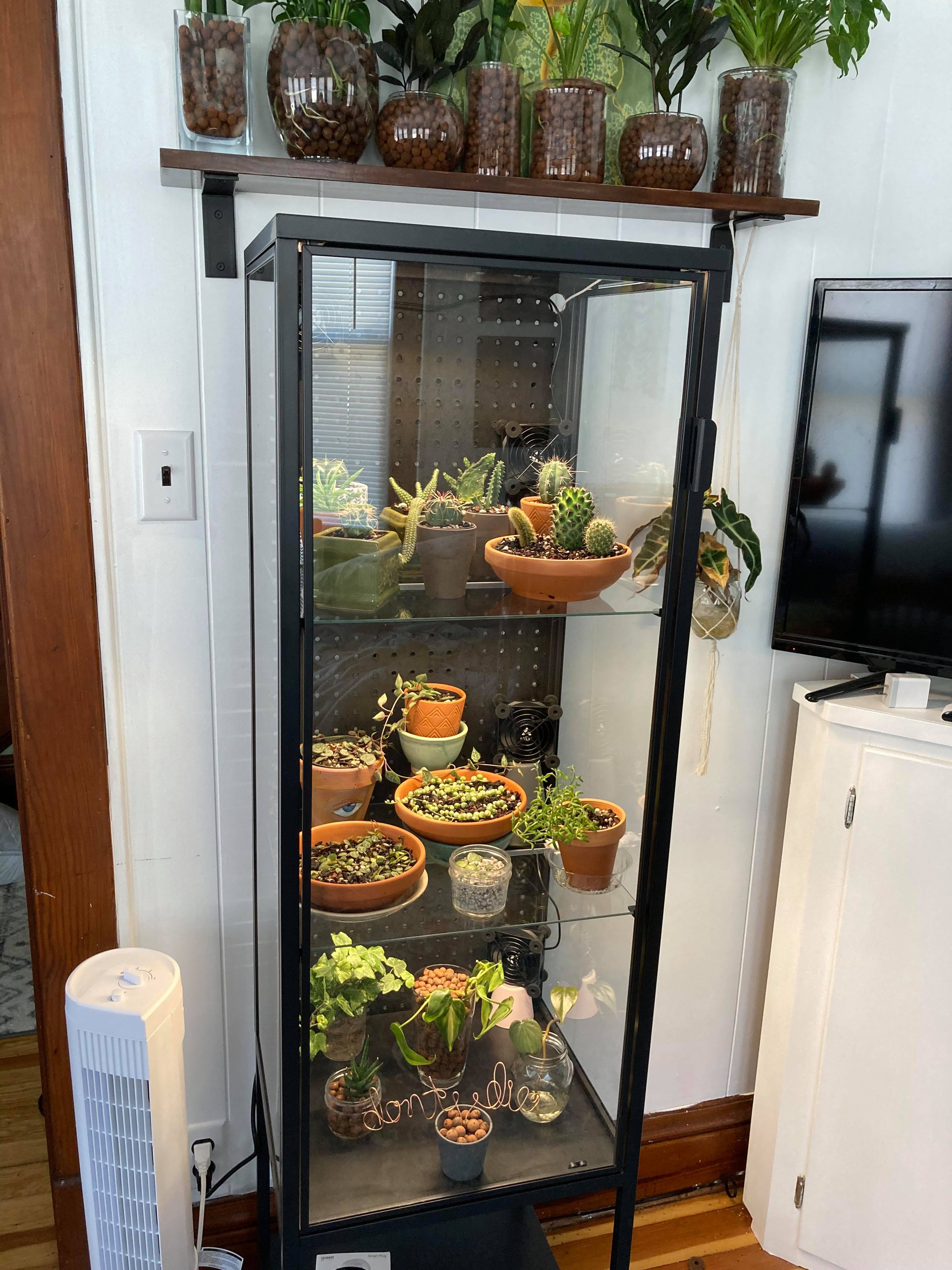 Cacti and Succulent Ikea Rudsta Used a pegboard on the back