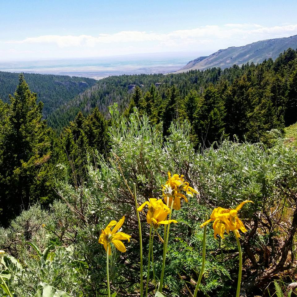 Pryor Mountain Range, Montana [OC] [960x960] r/EarthPorn