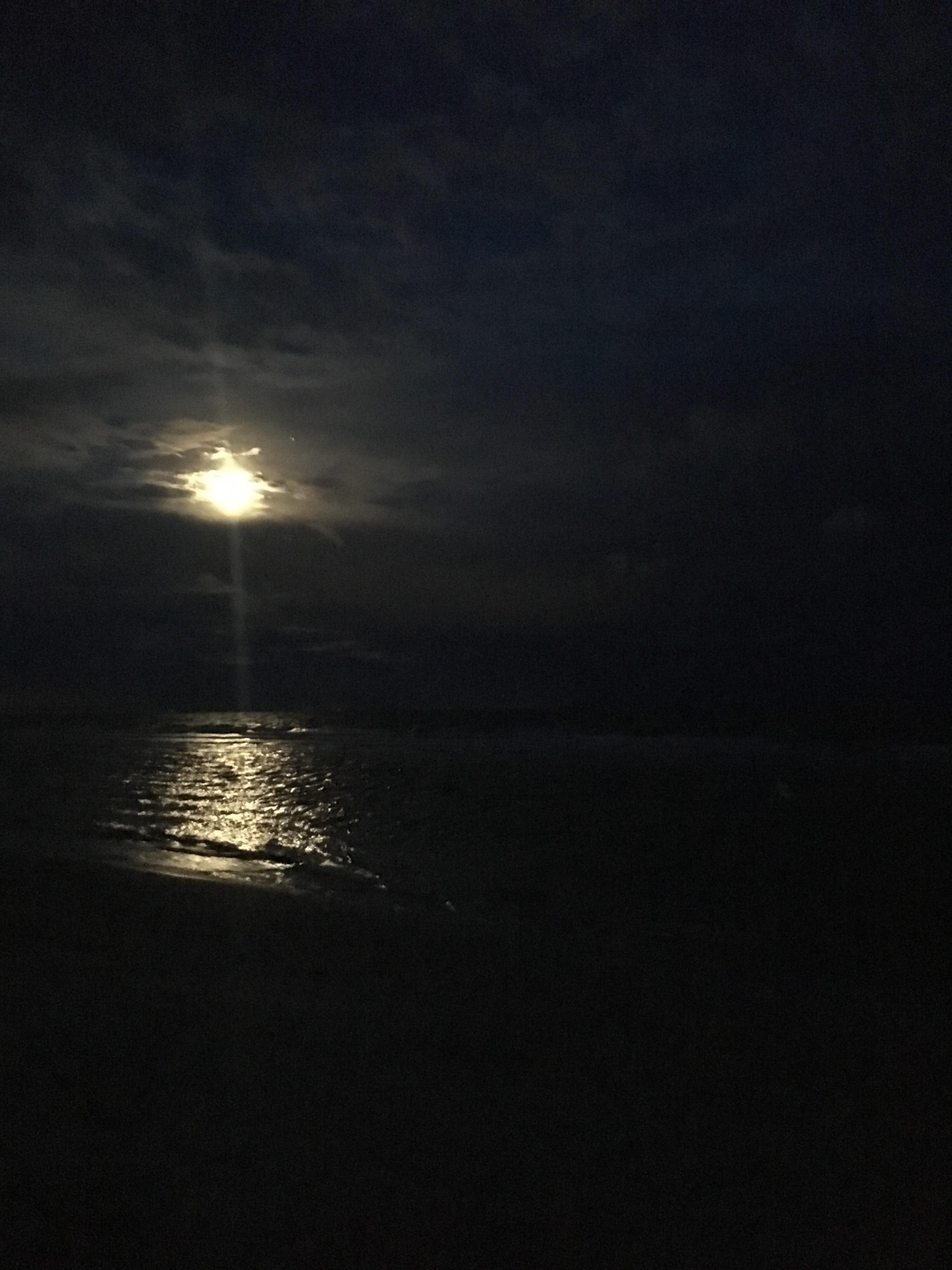 Florida night beach pic. is pretty r/Outdoors