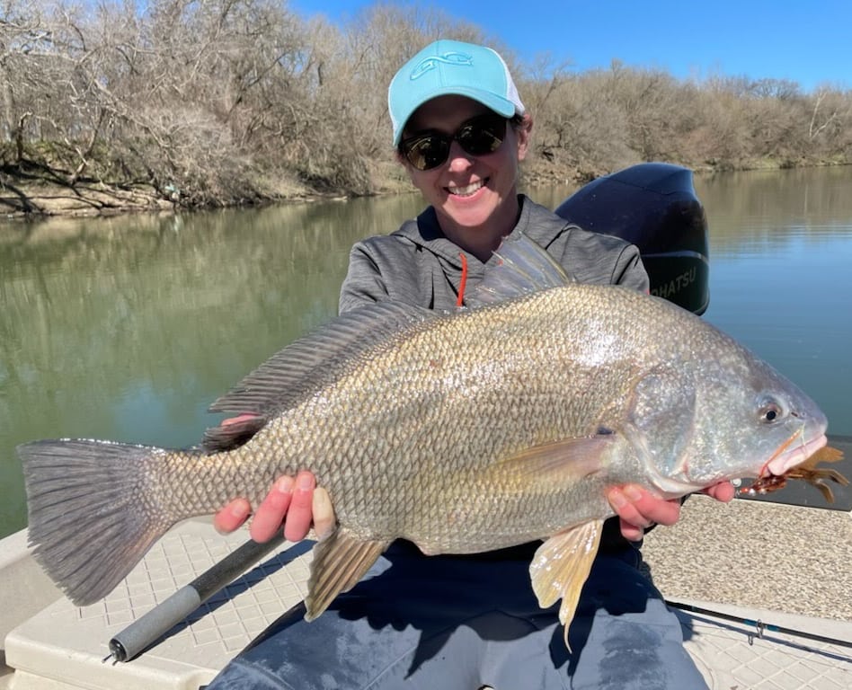 Biggest Freshwater Drum, aka gaspergou, so far this winter for my