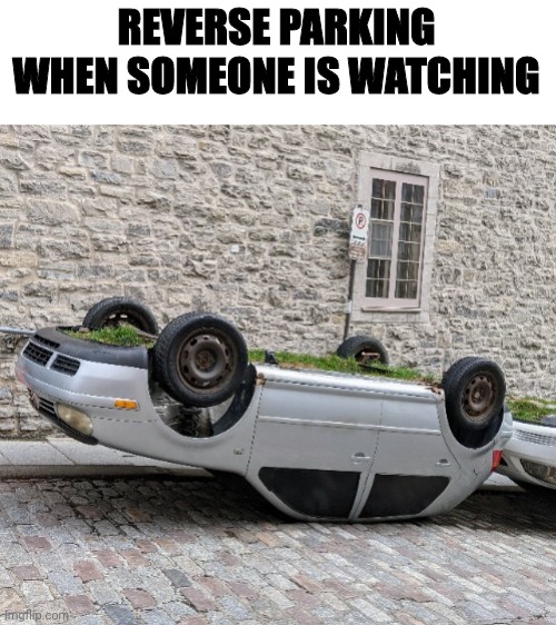 Reverse parking r/meme