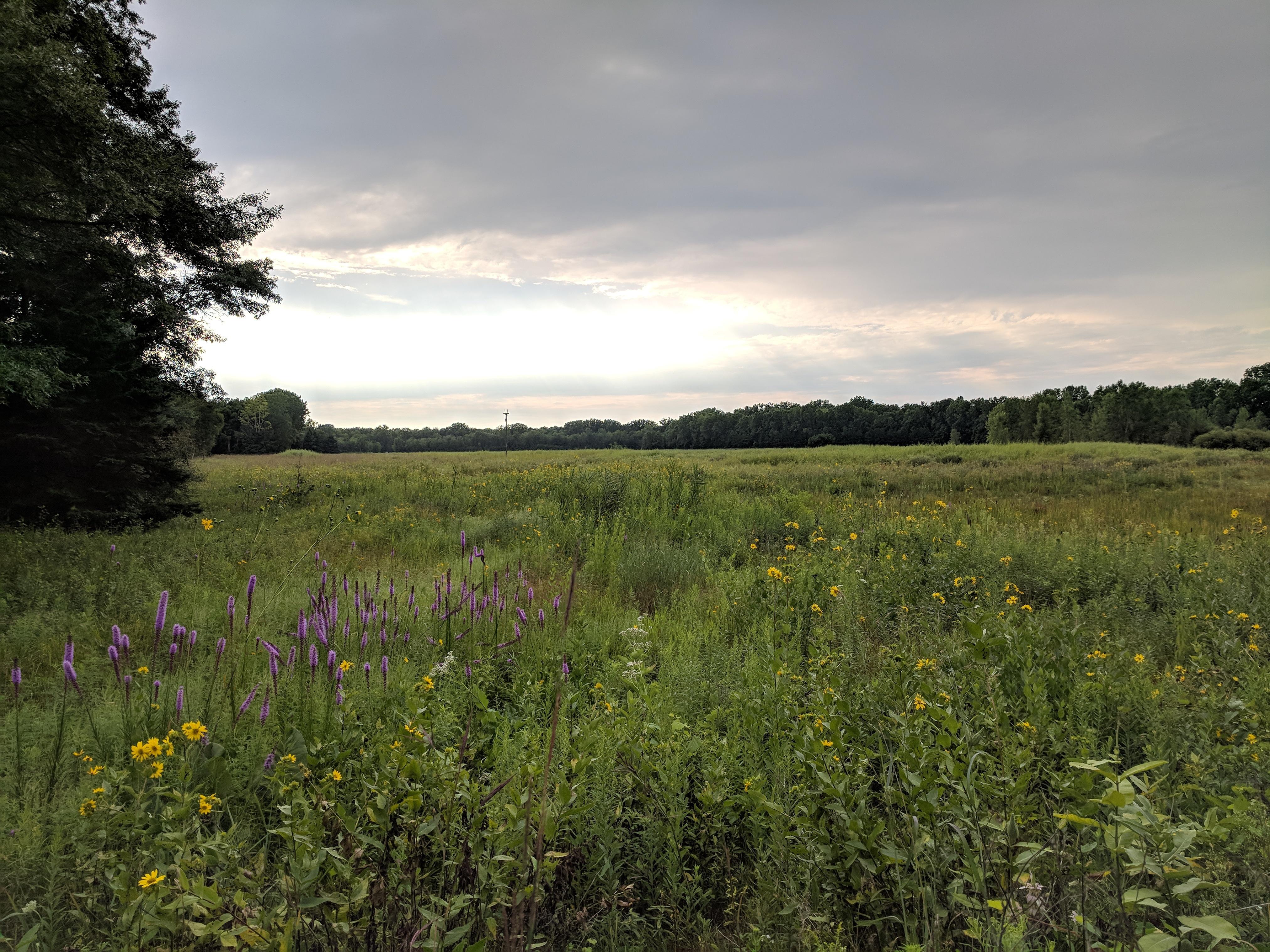 L.H Barkhausen Waterfowl Preserve in Suamico, WI [1080x1920] [OC] r