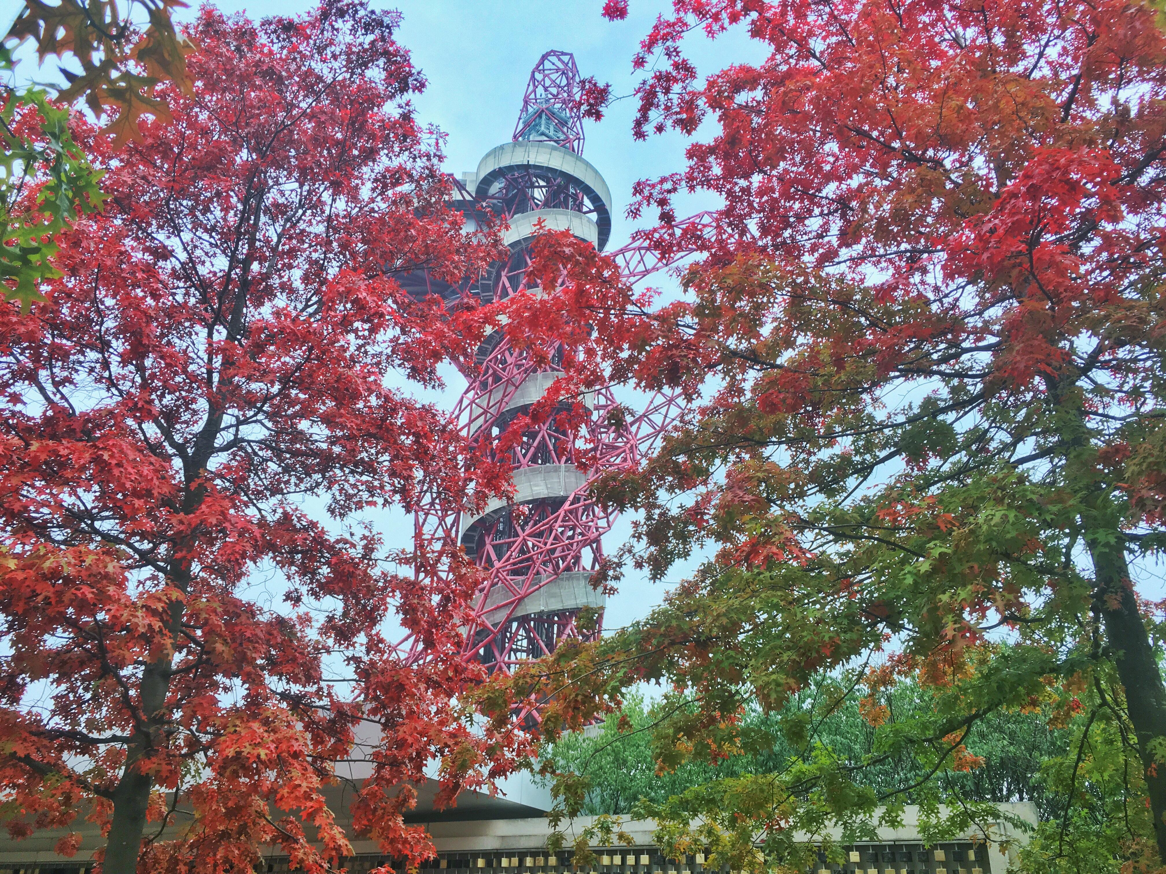 I absolutely love how the trees of London look this time of year r/london