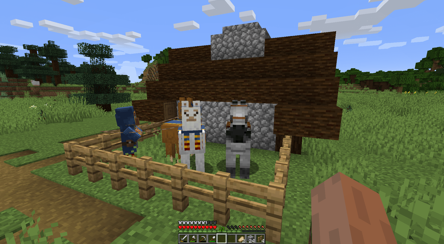 Minecraft Abandoned Village