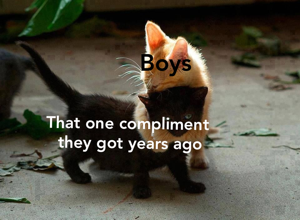 Man I need some cuddles memes