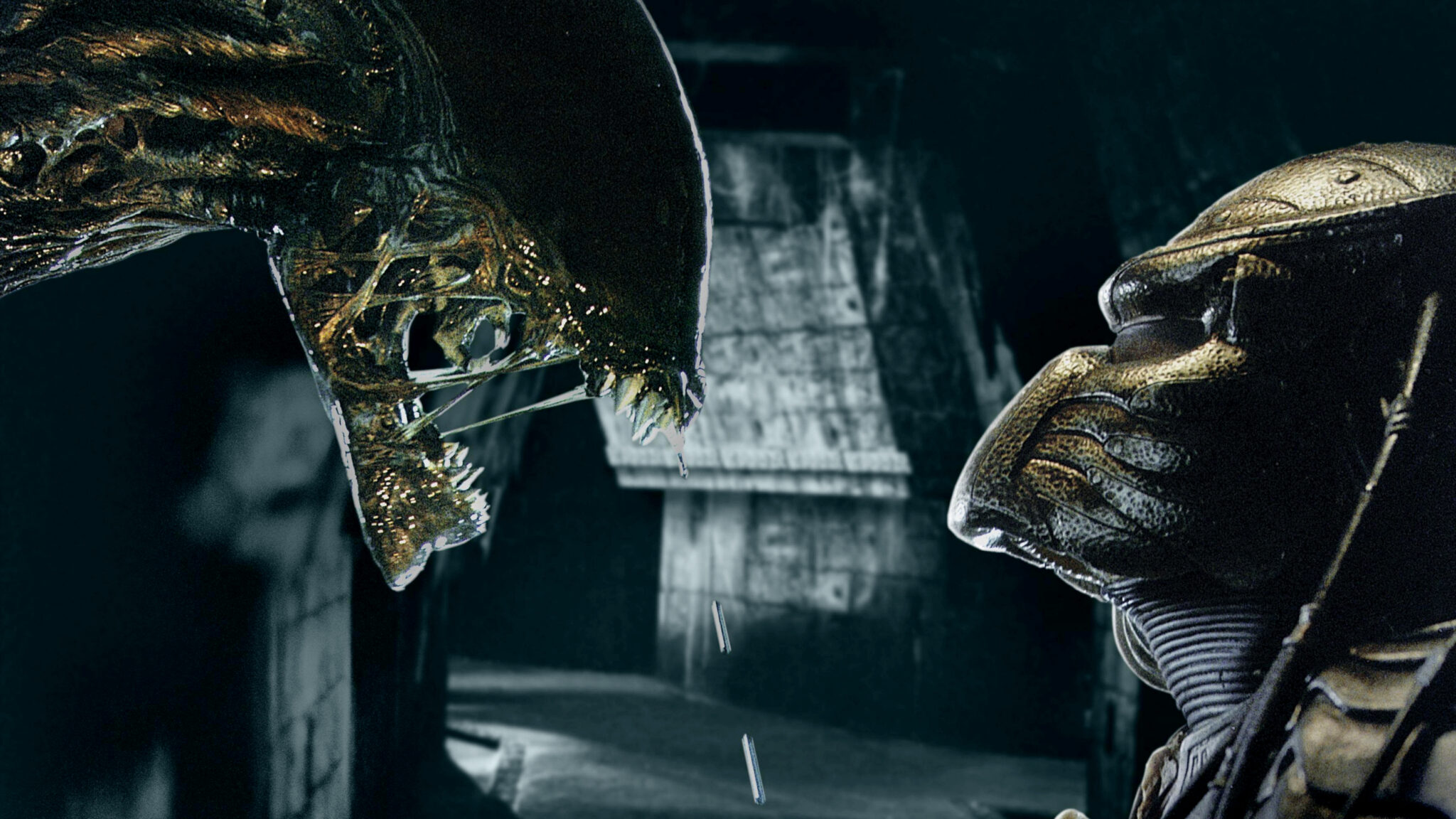Alien Vs Predator Movie In Development For Hulu/Disney Will Take