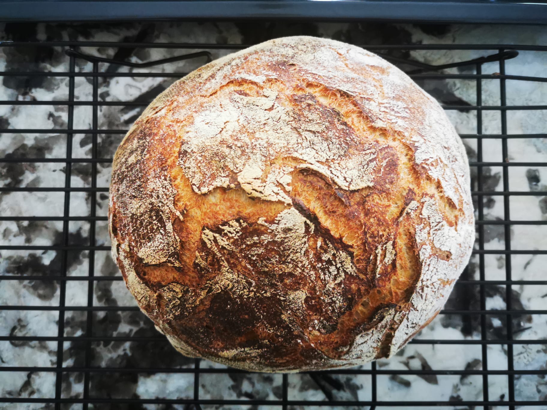 First Saturday White Bread from Flour Water Salt Yeast! r/Breadit