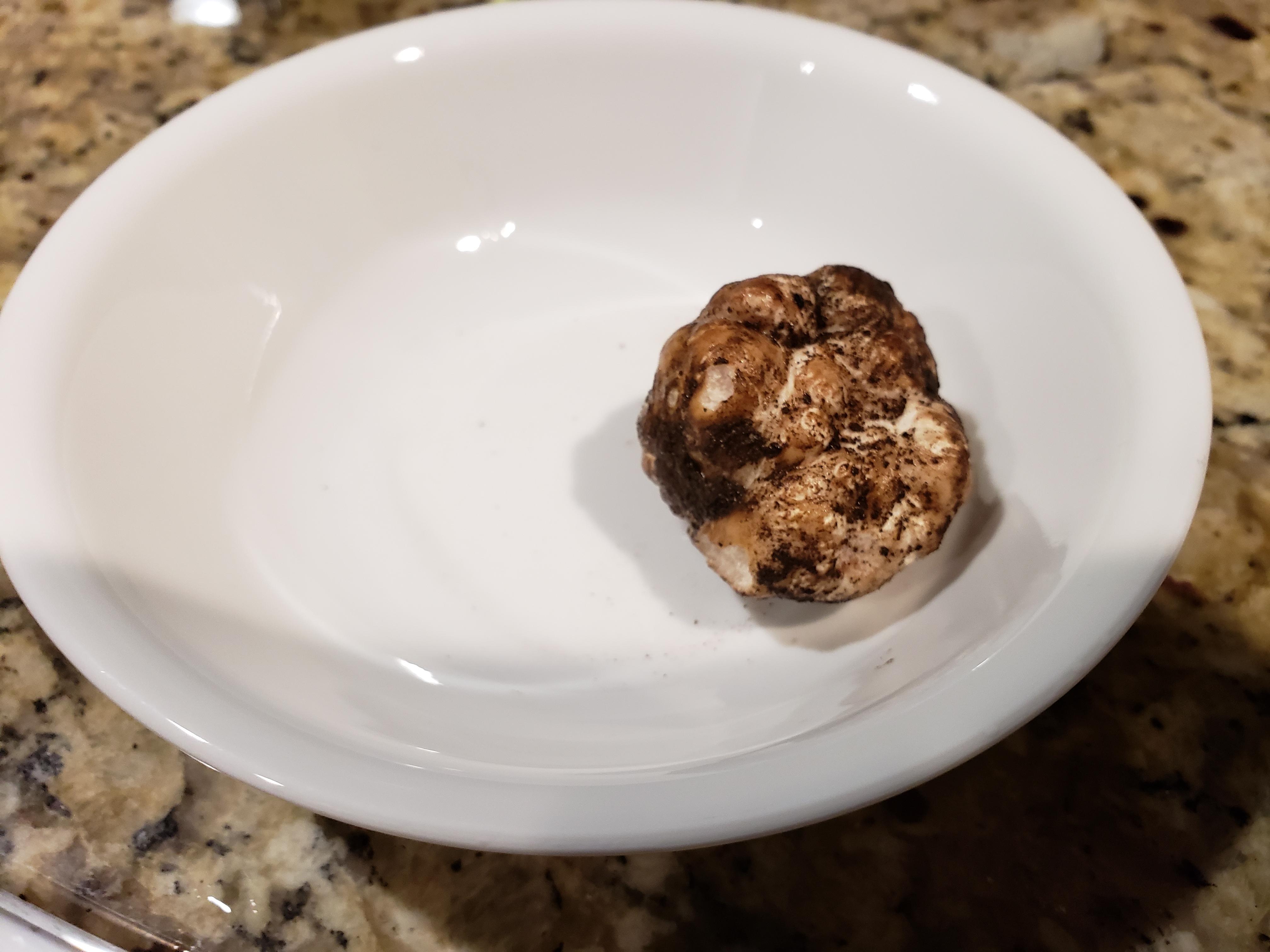 Found a white truffle in my front yard. What do I do with this thing