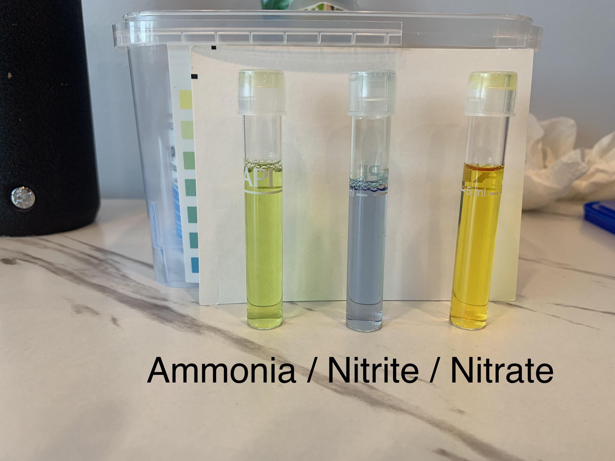 I’d say that’s 0.25ppm ammonia yeah? I just did a water change