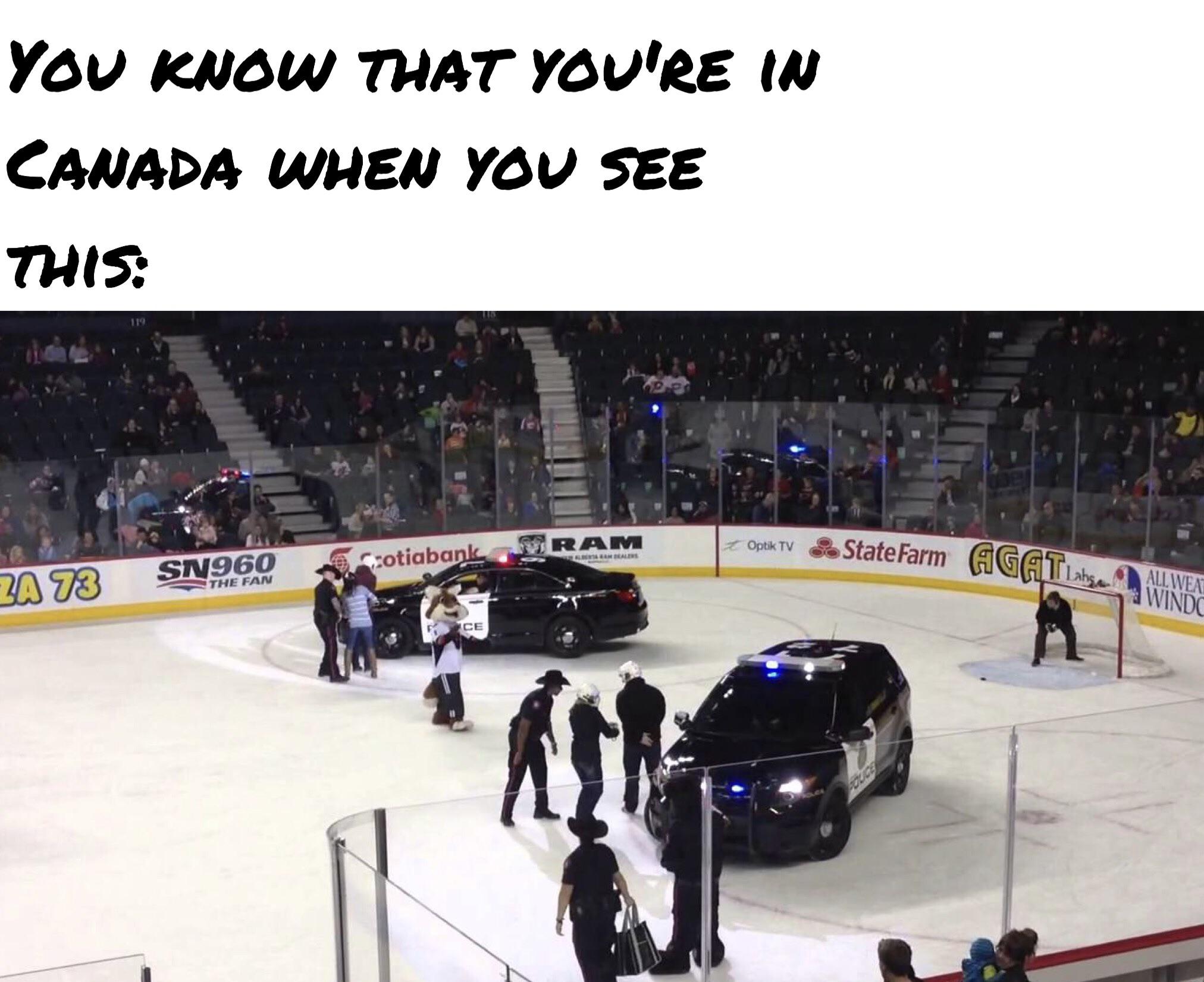 Canada hockey players go brr r/memes